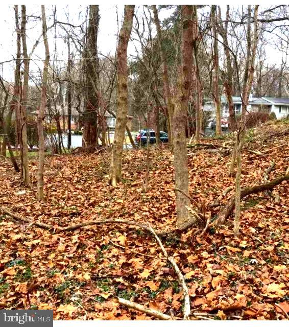 Real estate listing preview #2