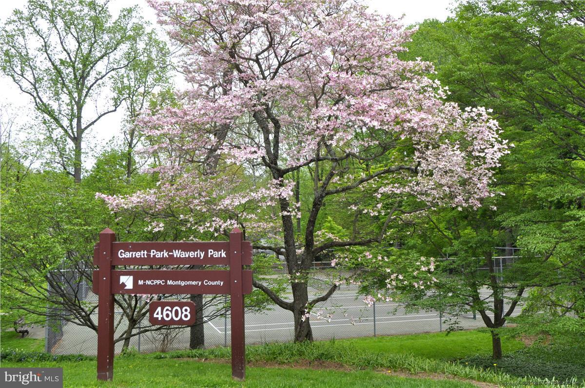 Real estate listing preview #78