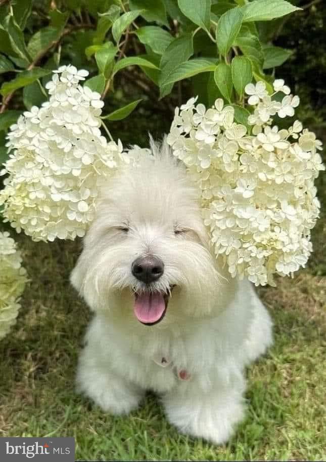 Real estate listing preview #80