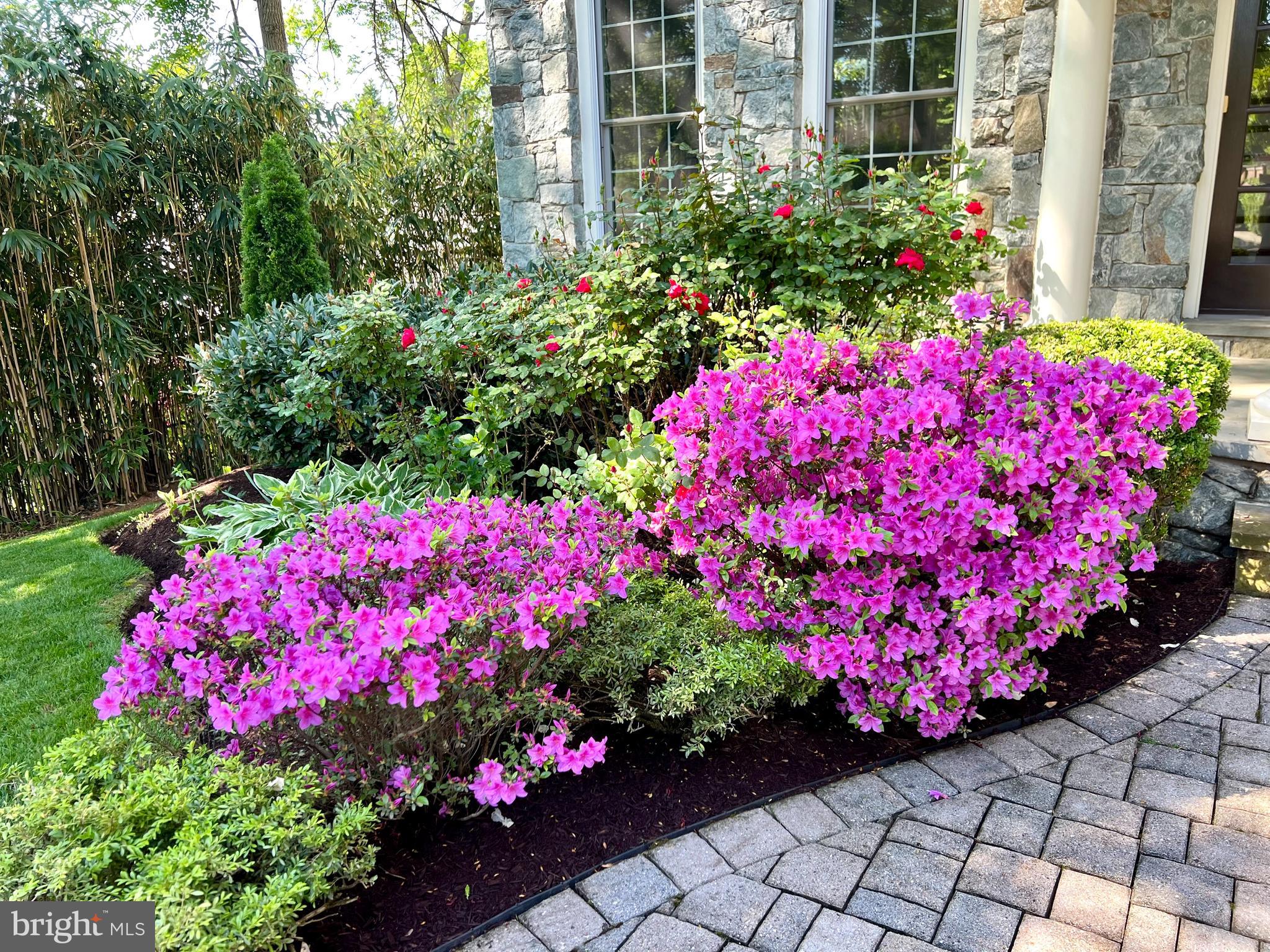 Real estate listing preview #73