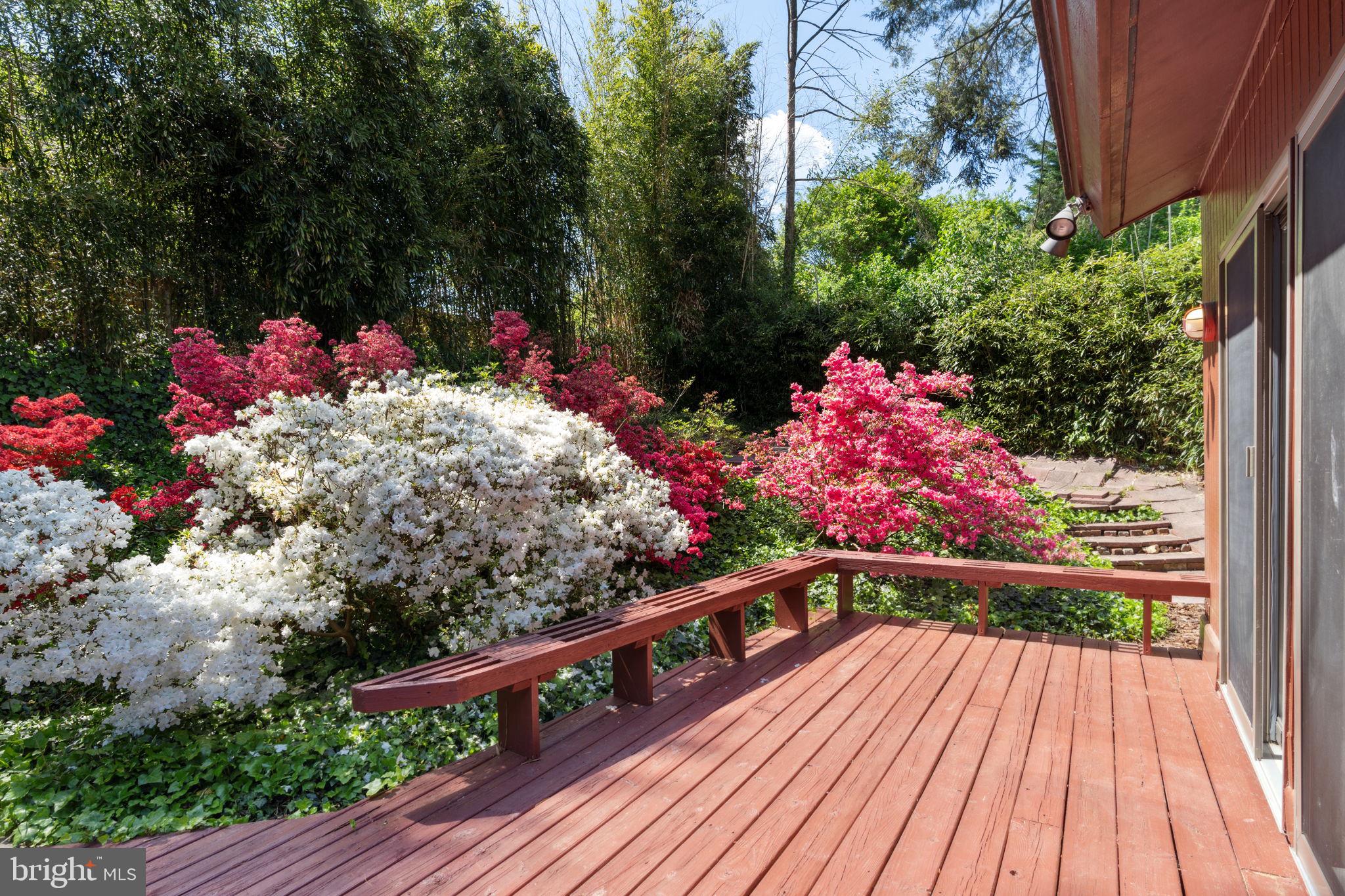 Real estate listing preview #74