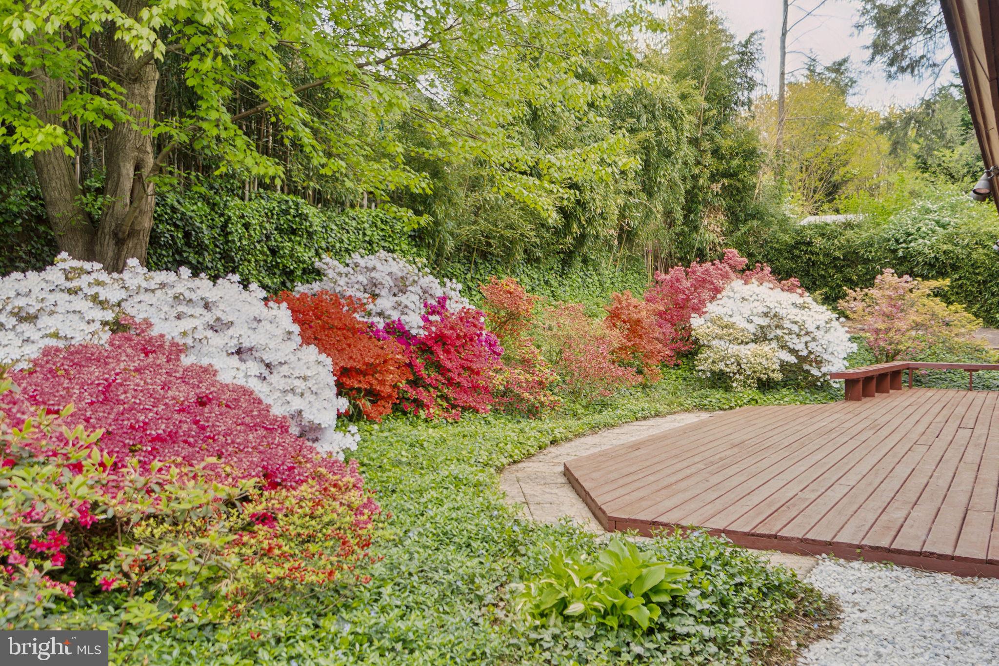 Real estate listing preview #77