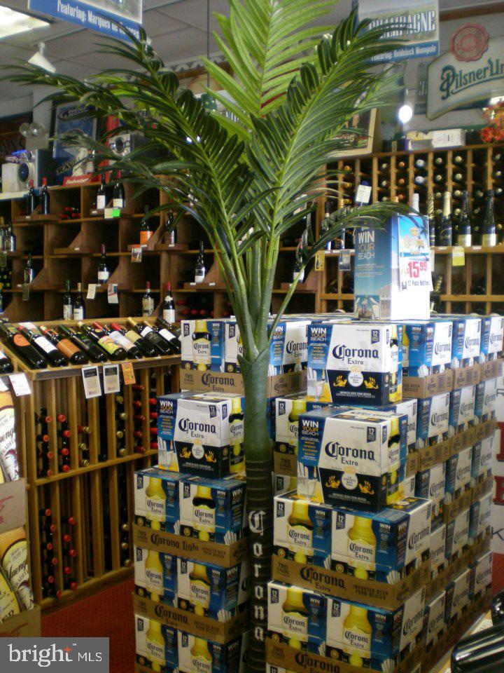 Real estate listing preview #10