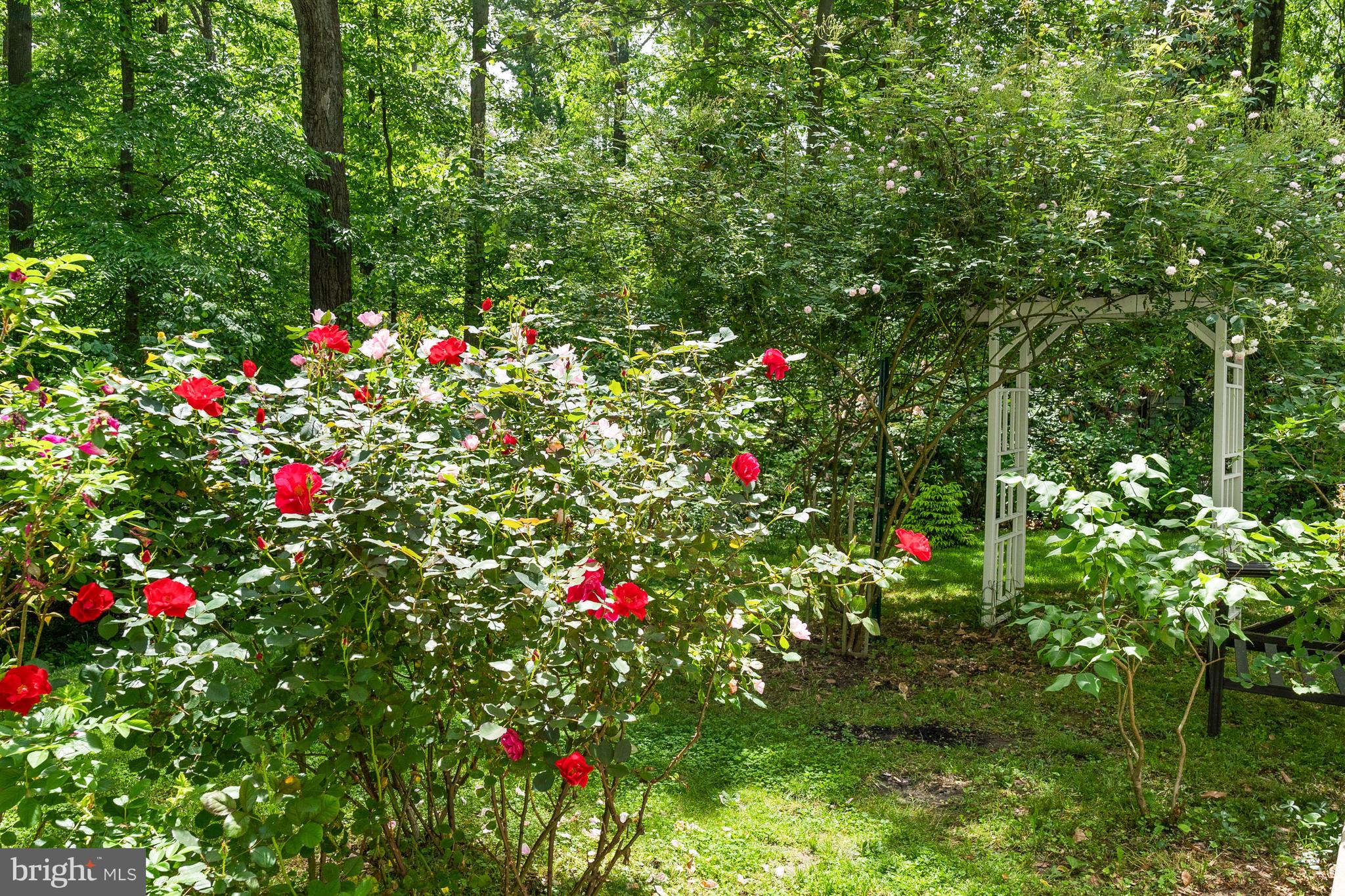 Real estate listing preview #21