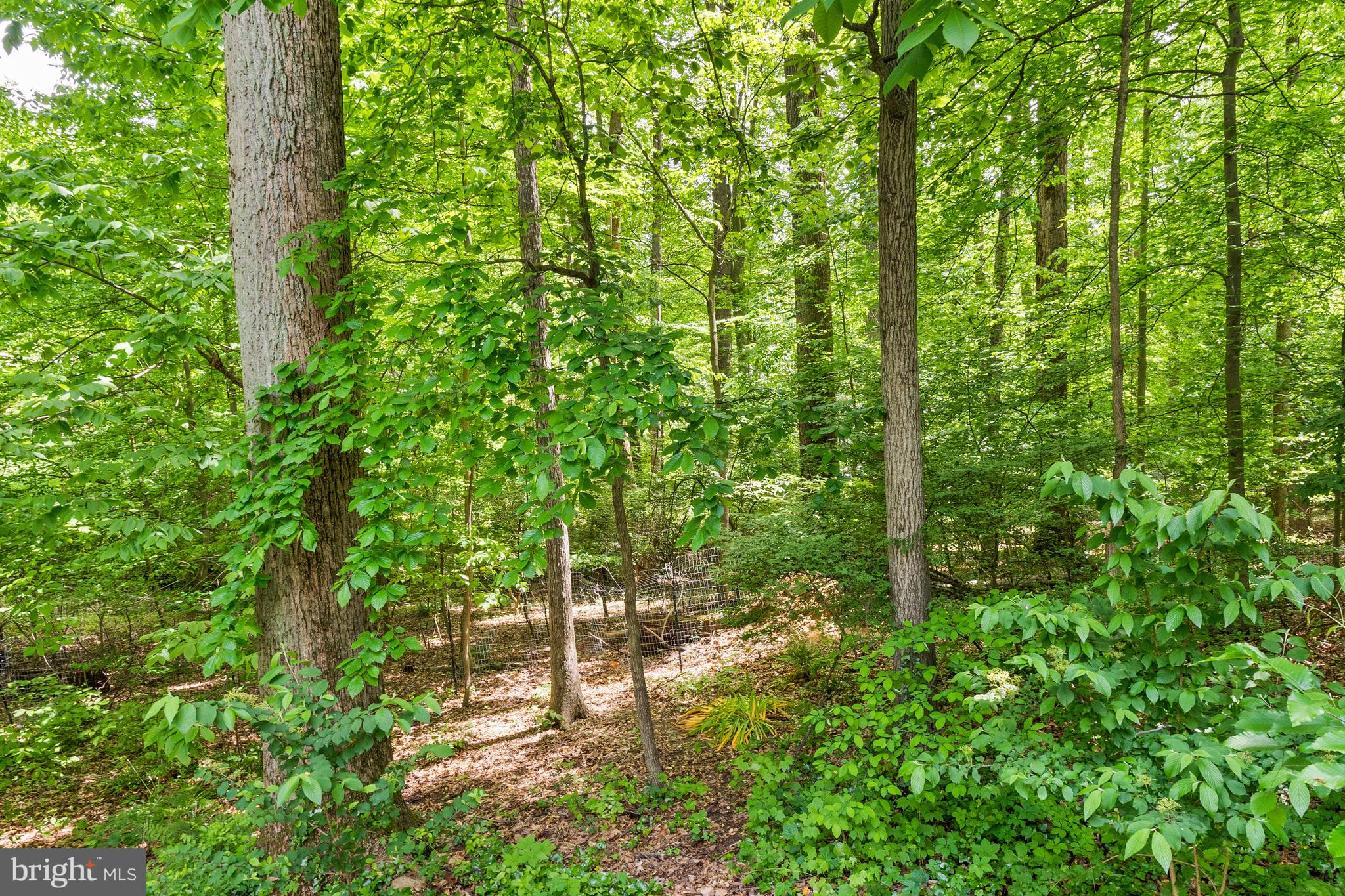 Real estate listing preview #20