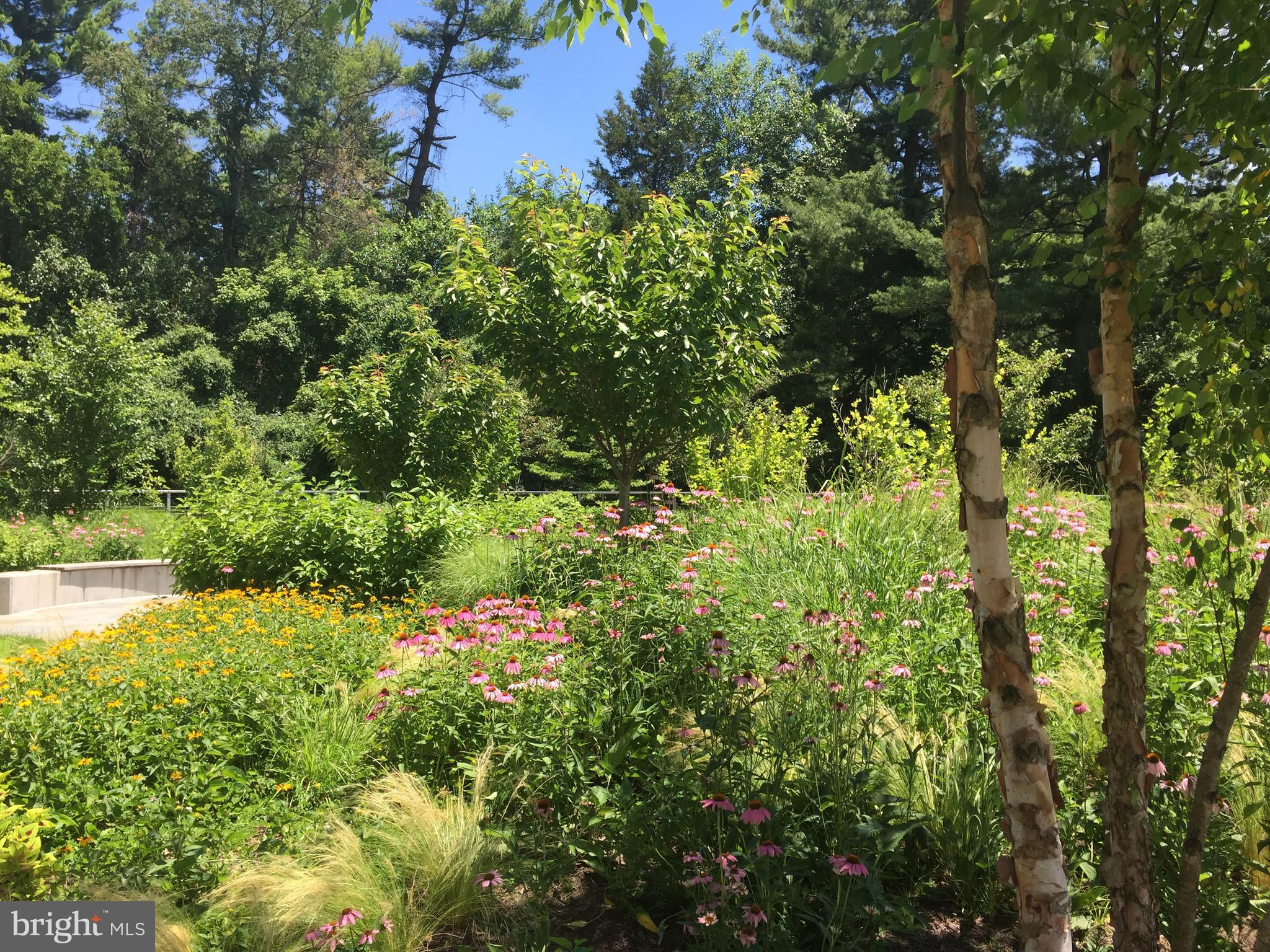 Real estate listing preview #22