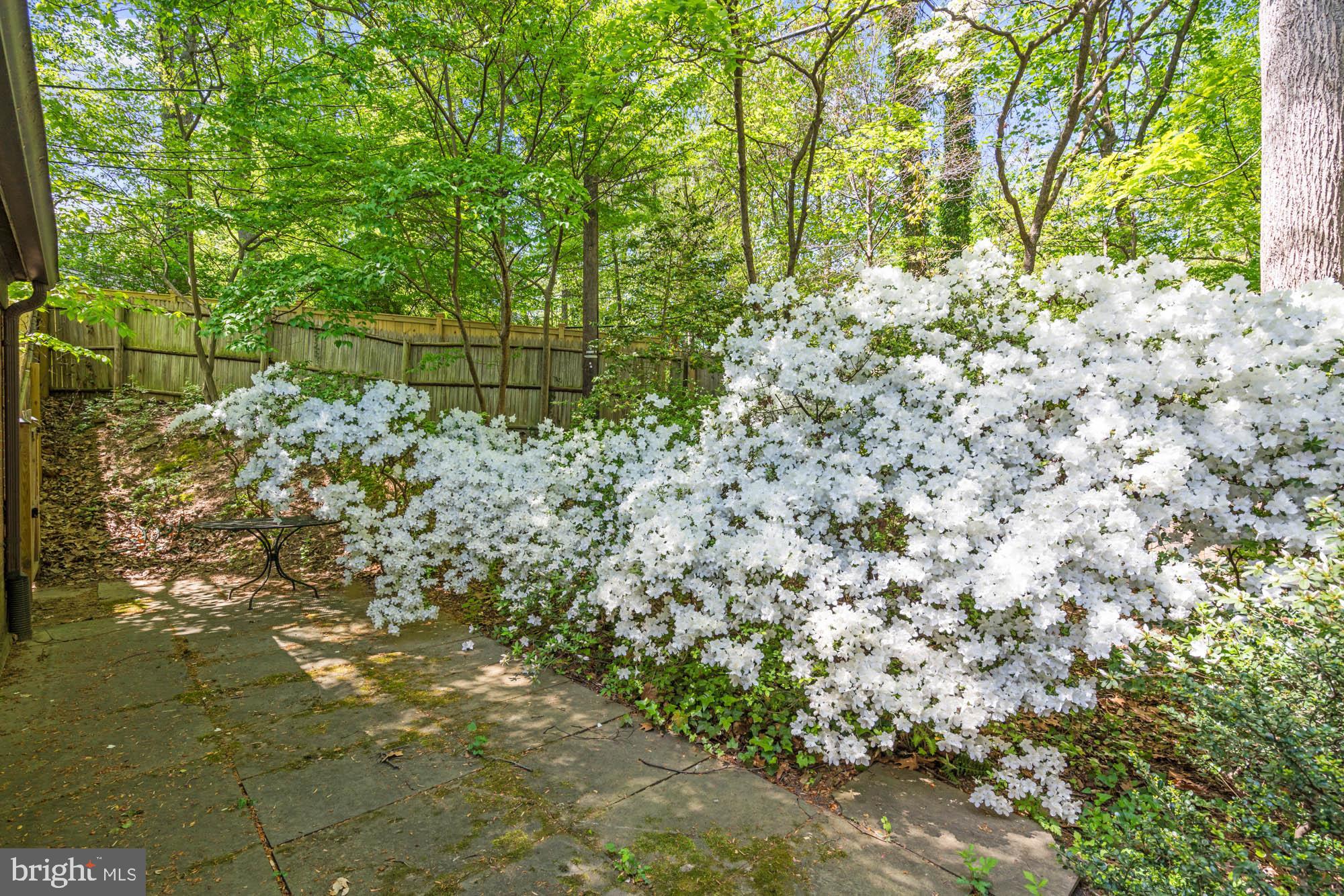 Real estate listing preview #79