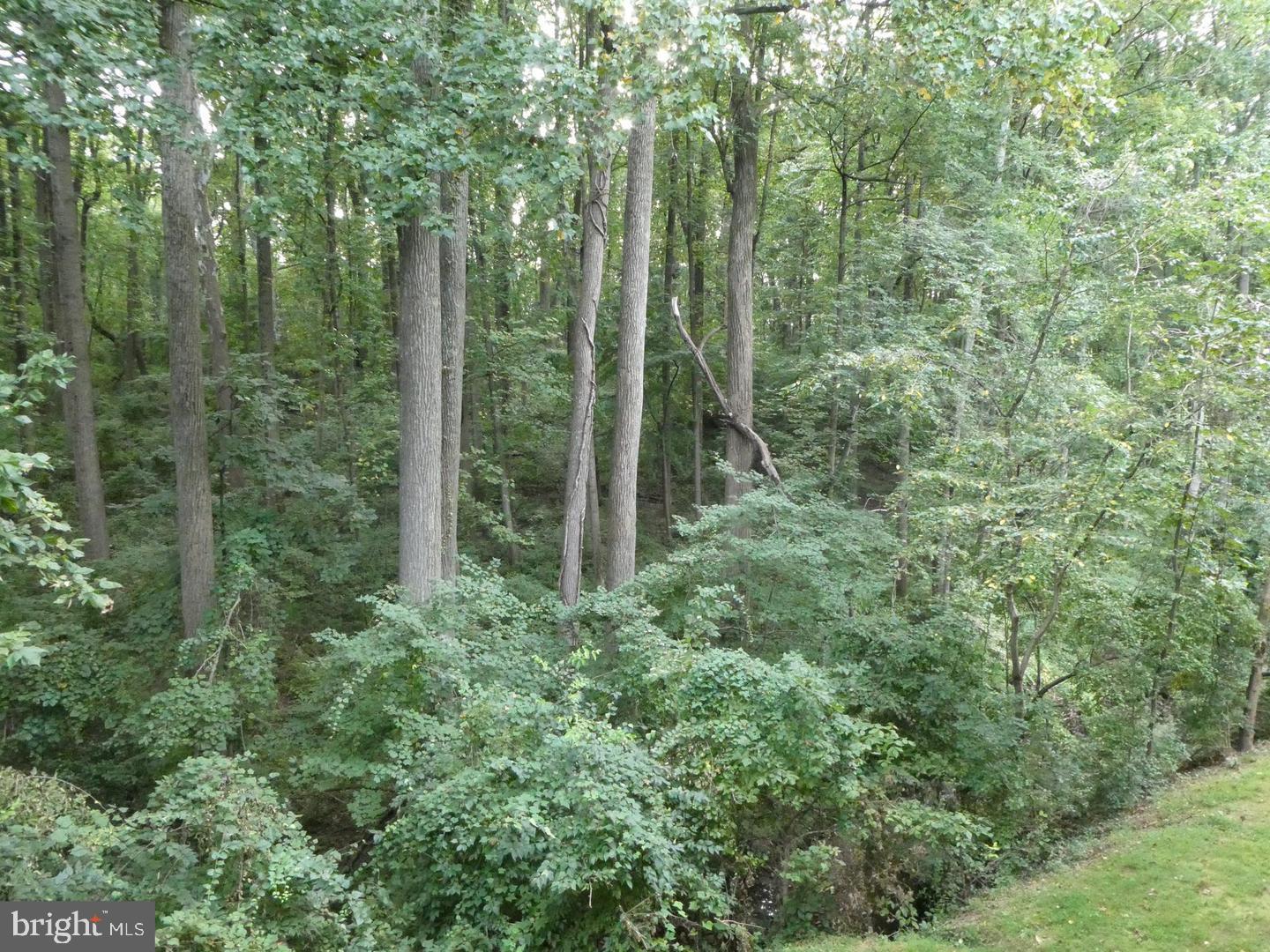 Real estate listing preview #9