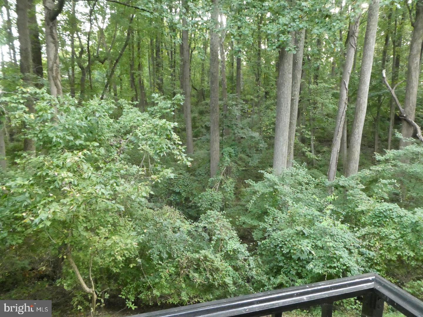 Real estate listing preview #8