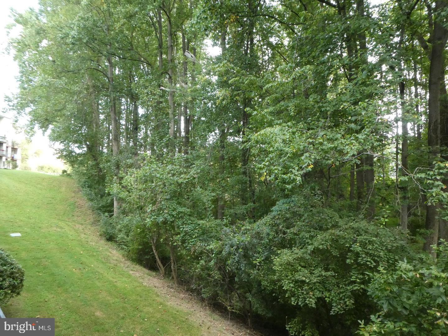 Real estate listing preview #10