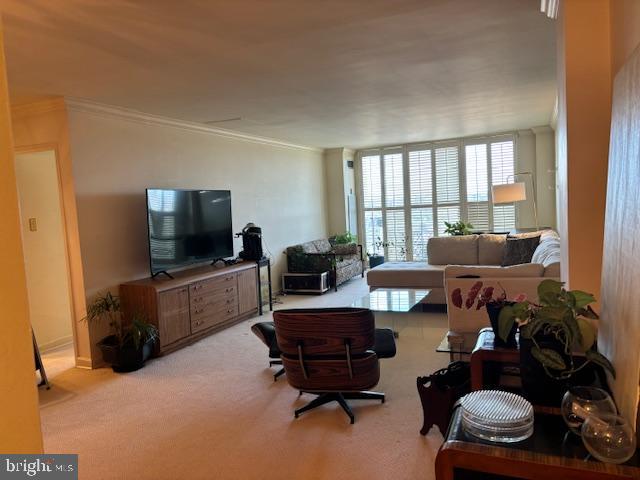 Real estate listing preview #20