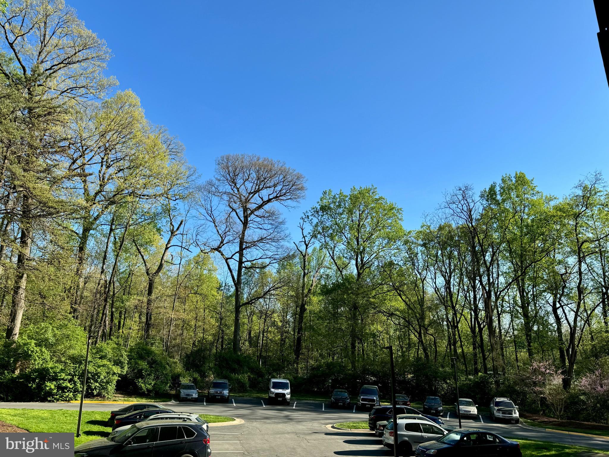 Real estate listing preview #37