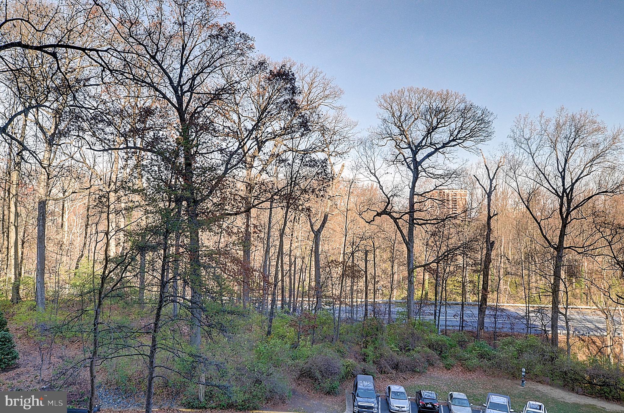 Real estate listing preview #13