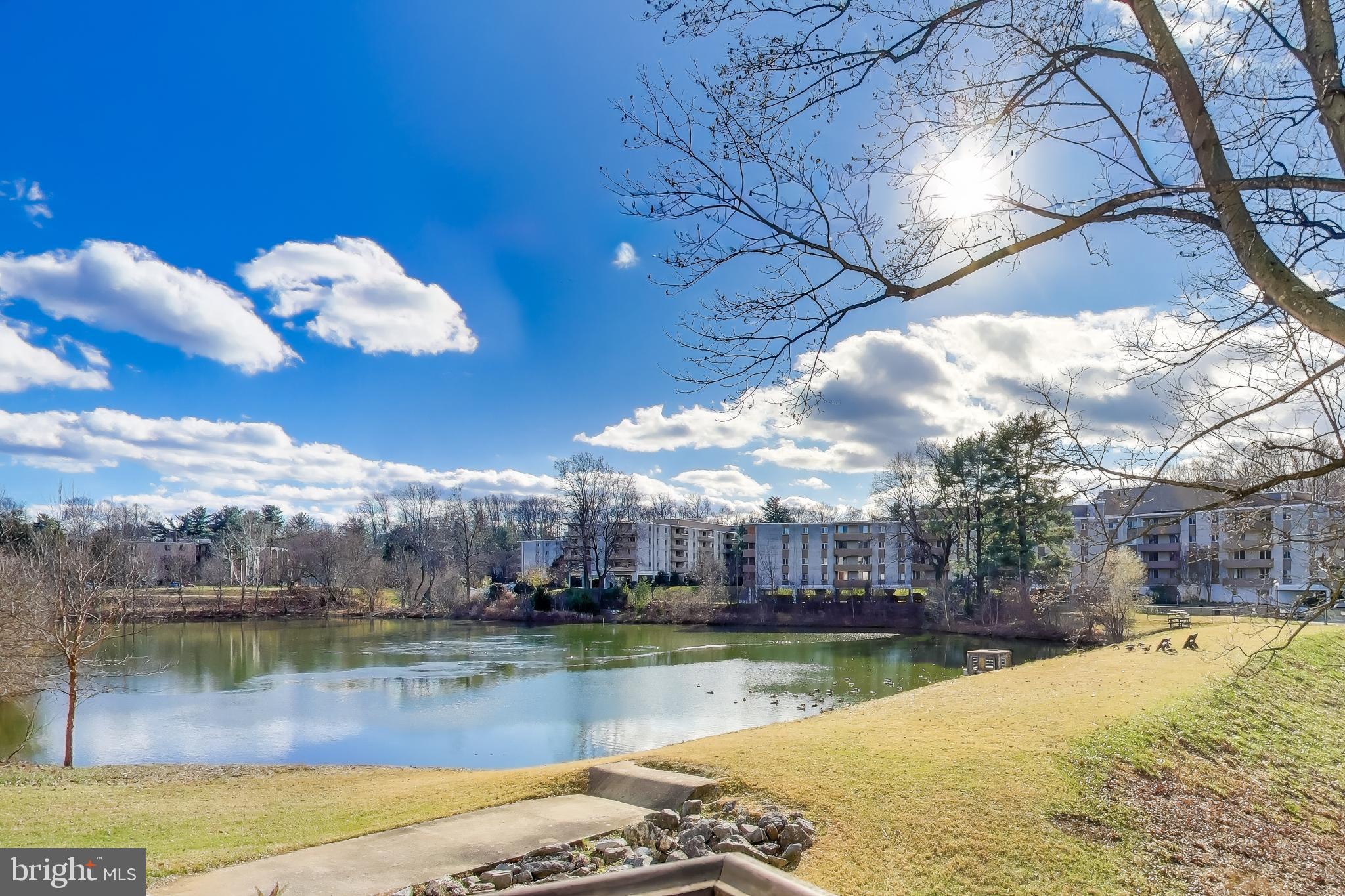 Real estate listing preview #16