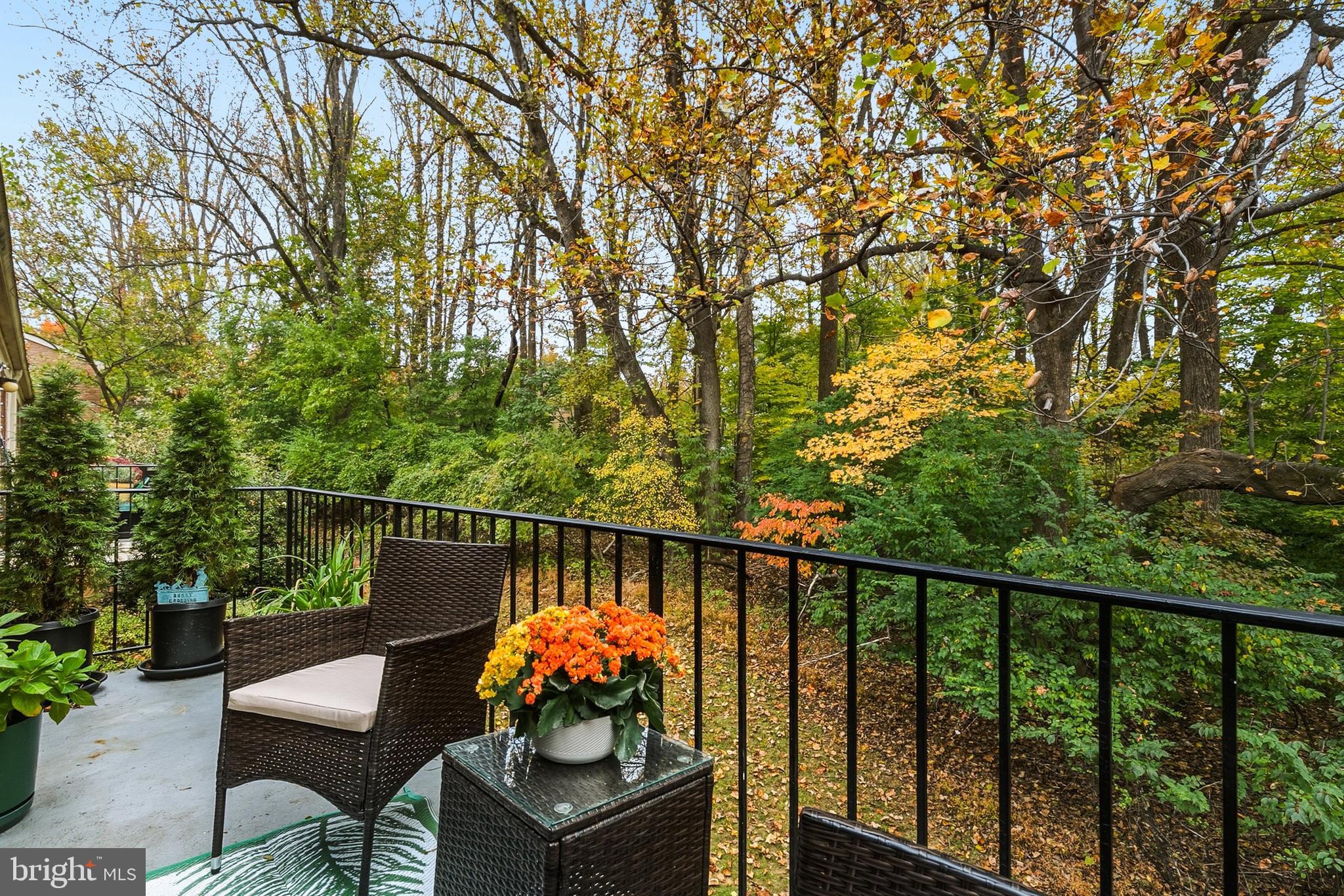 Real estate listing preview #4