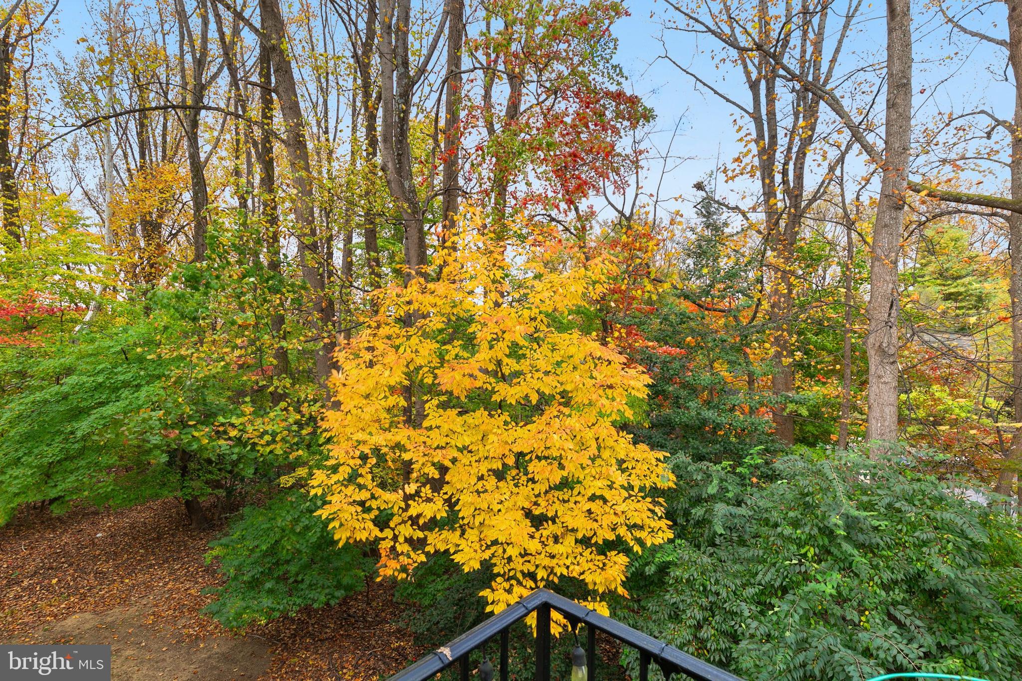 Real estate listing preview #23