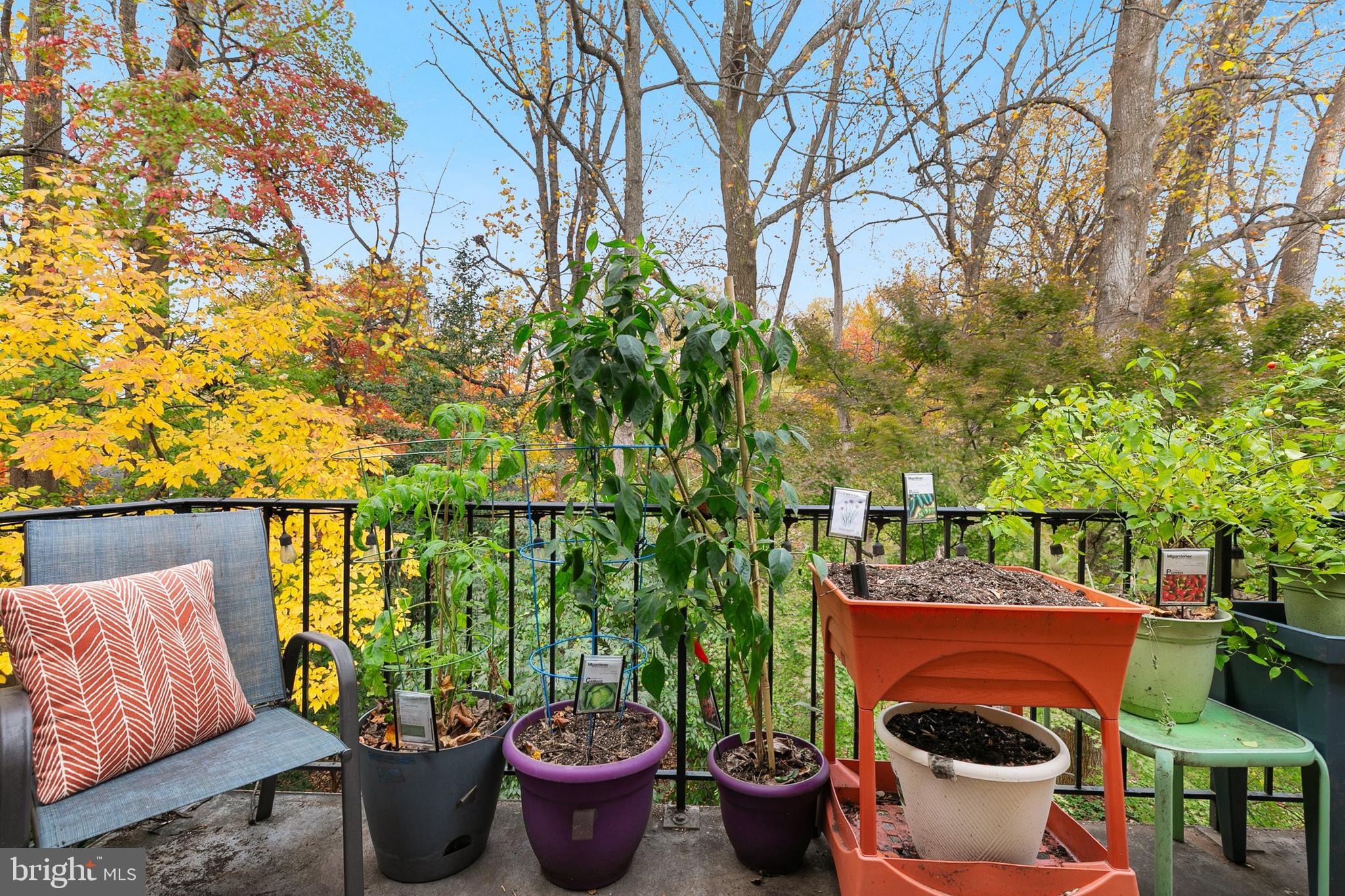 Real estate listing preview #21