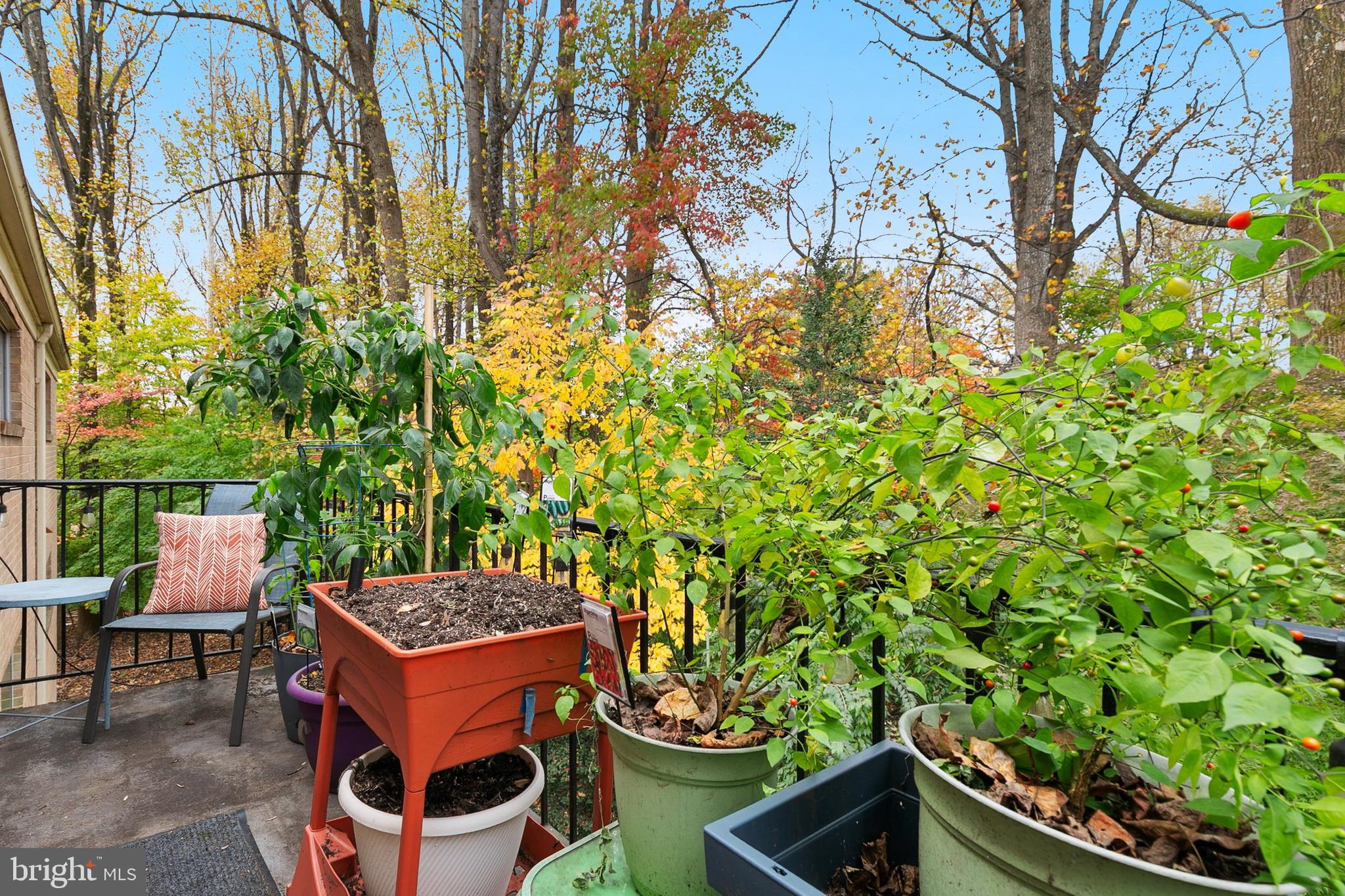 Real estate listing preview #22