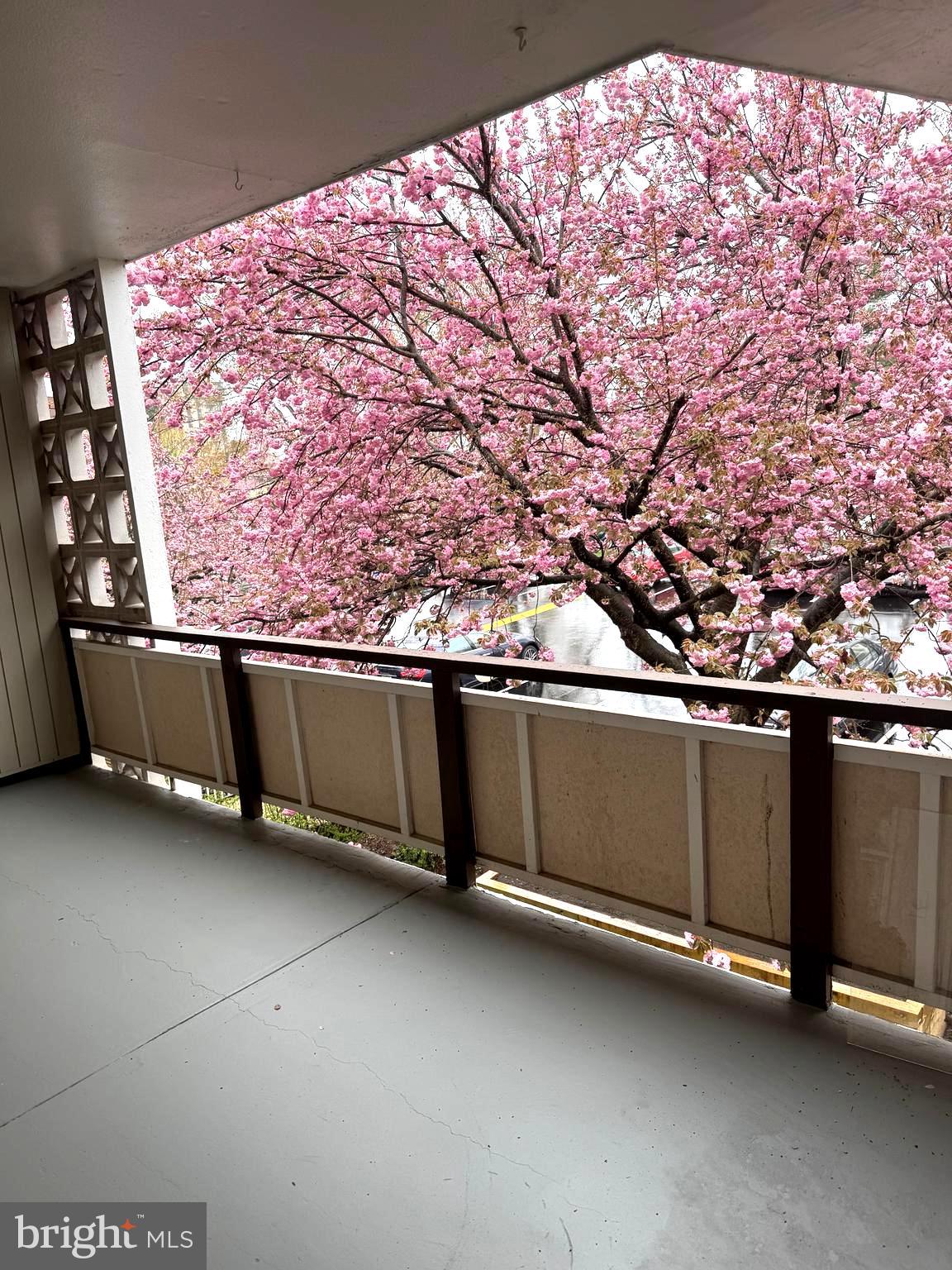 Real estate listing preview #2