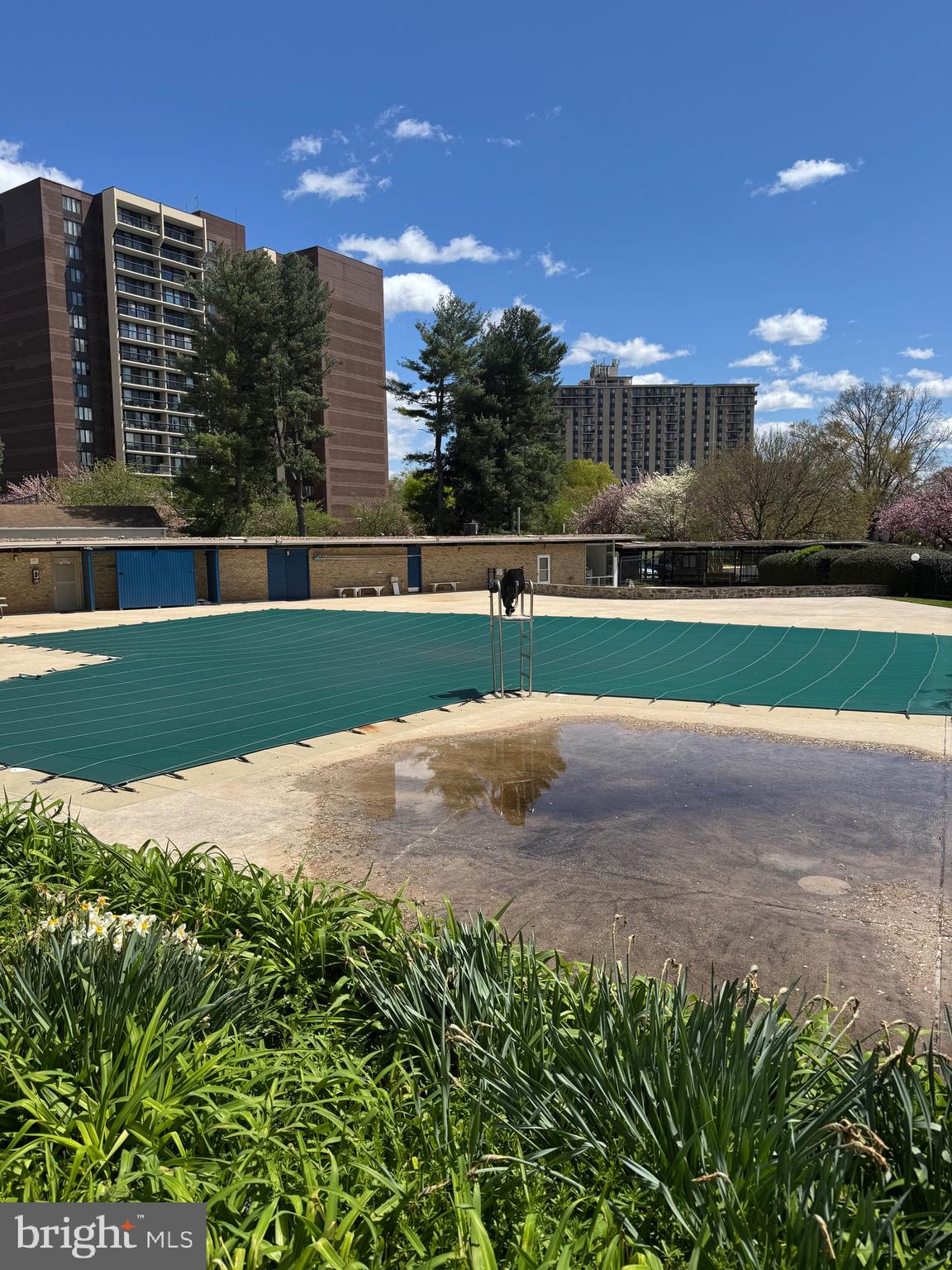 Real estate listing preview #20