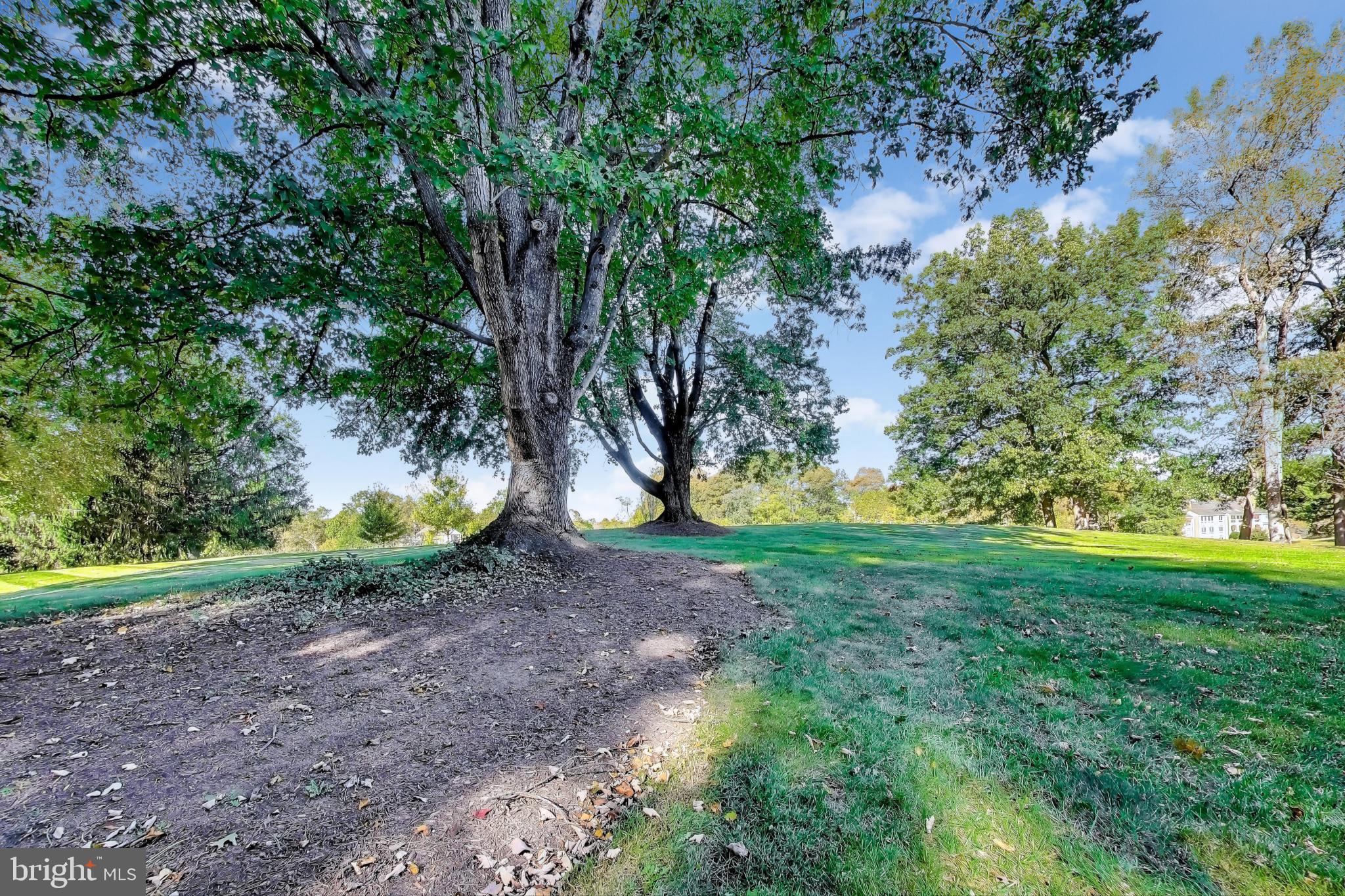 Real estate listing preview #58