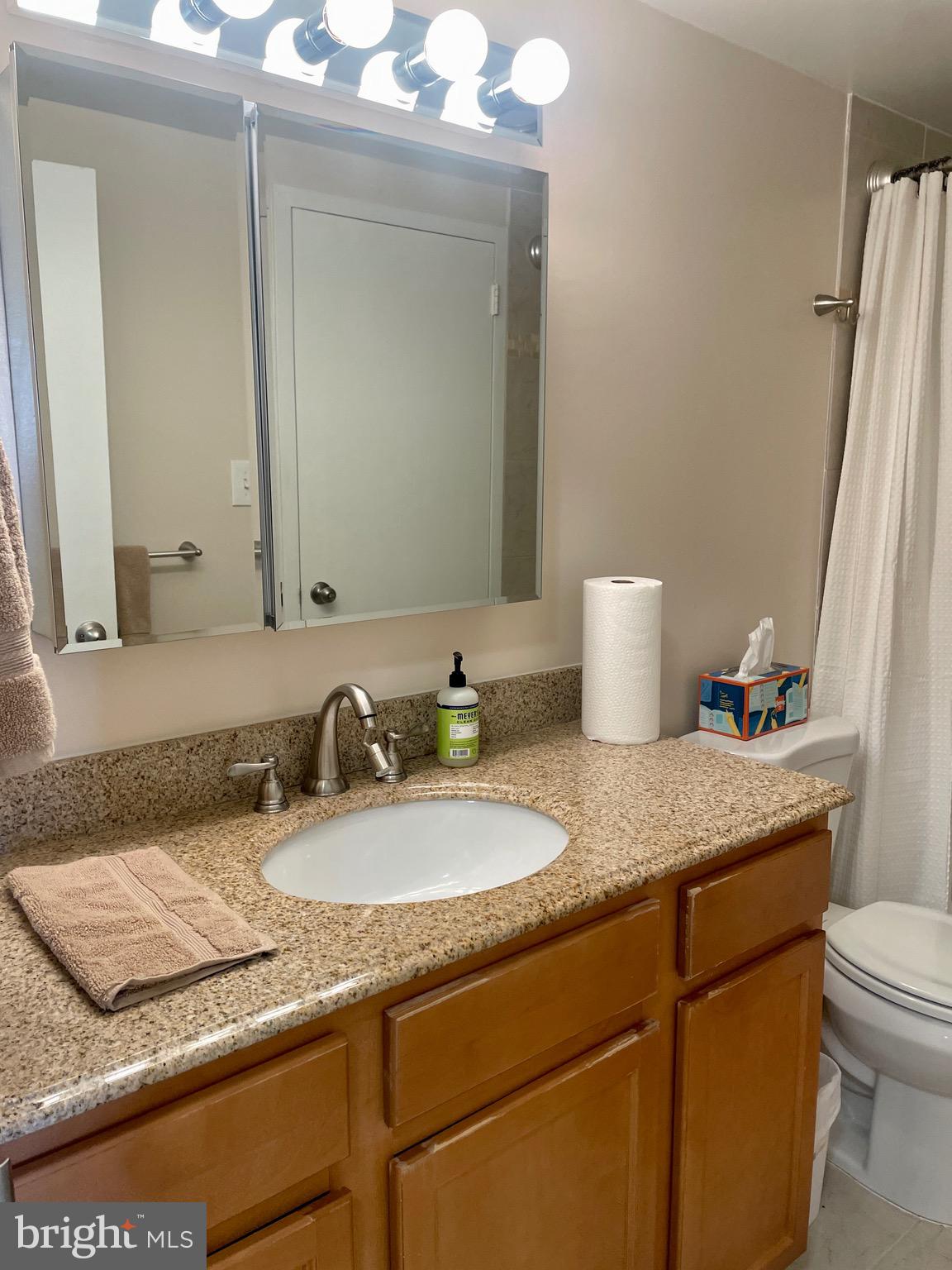 Real estate listing preview #10