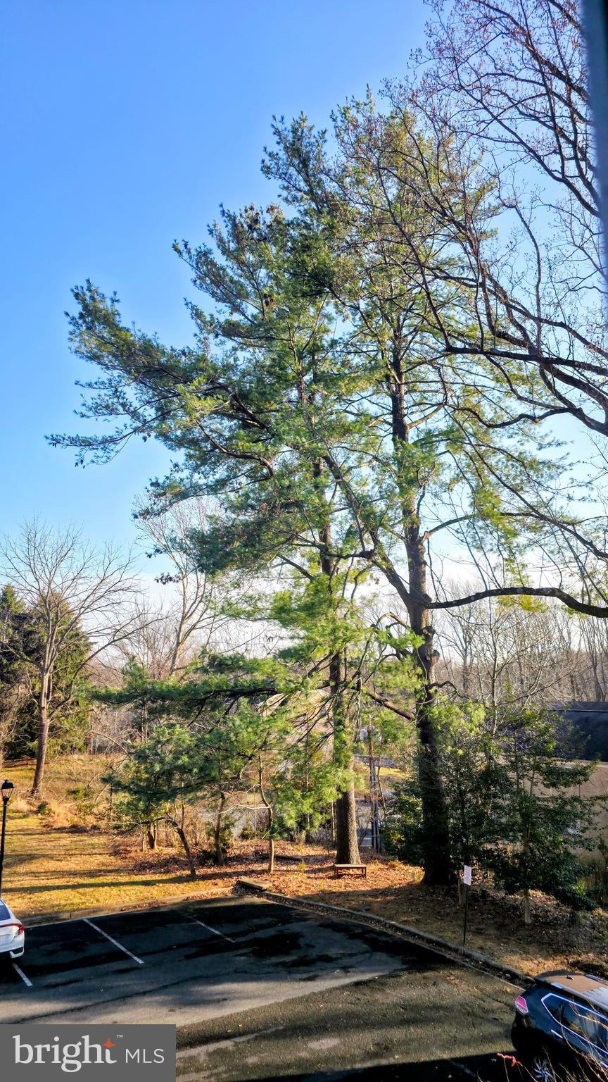 Real estate listing preview #43