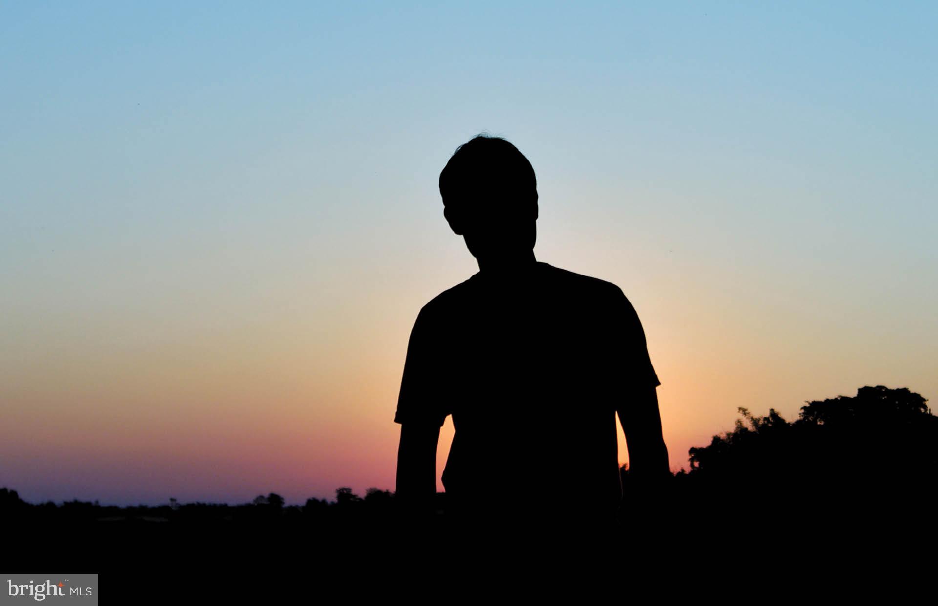 Real estate listing preview #24