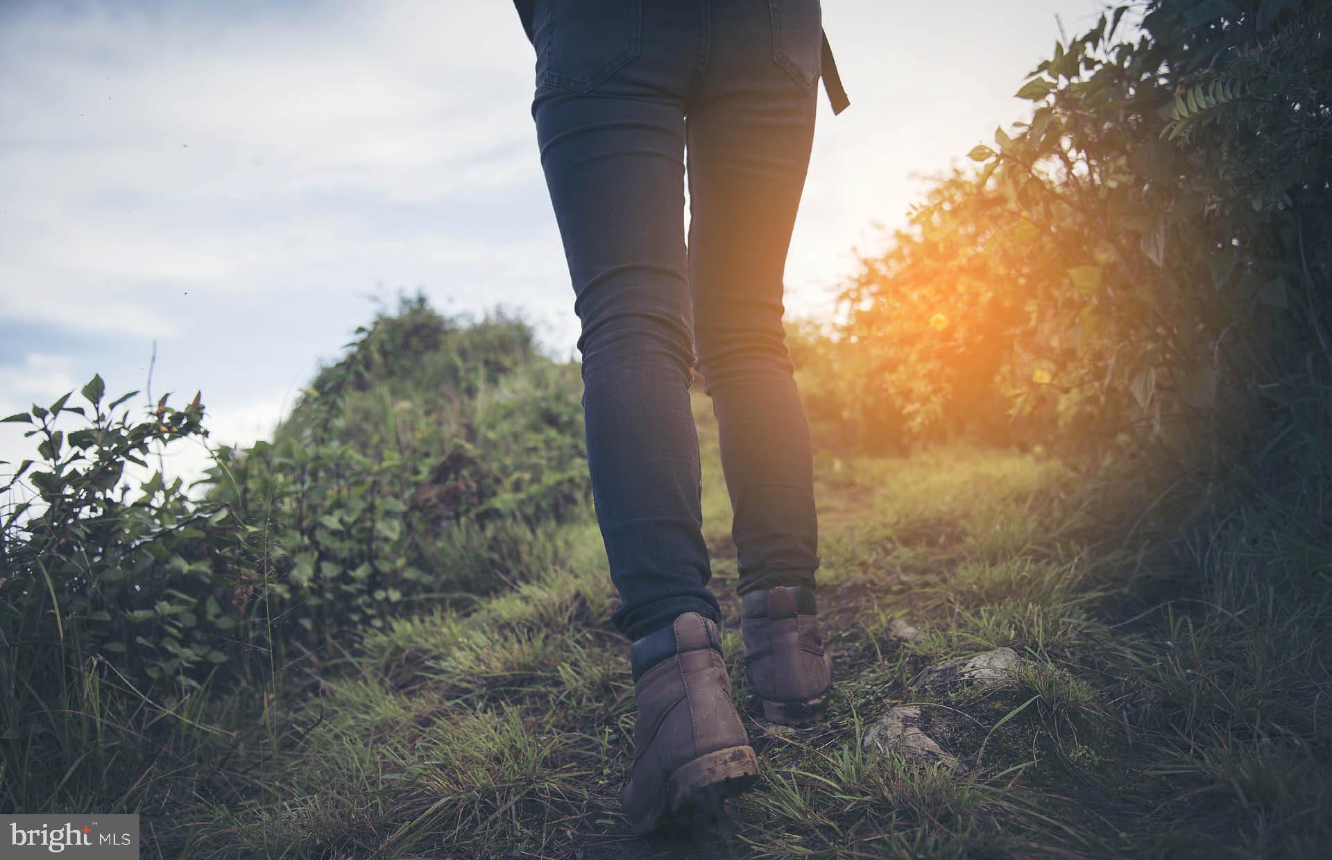 Real estate listing preview #25