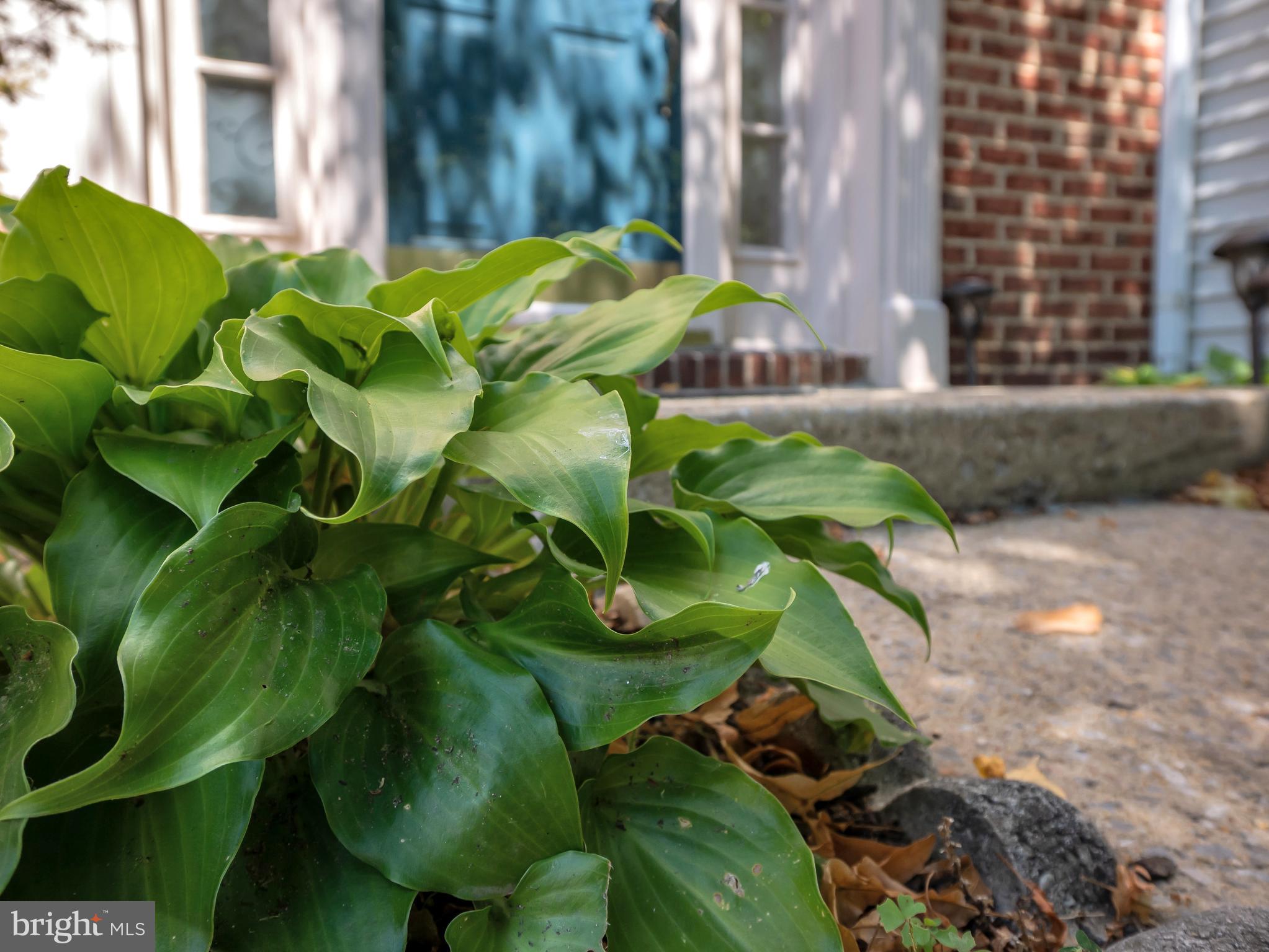 Real estate listing preview #5