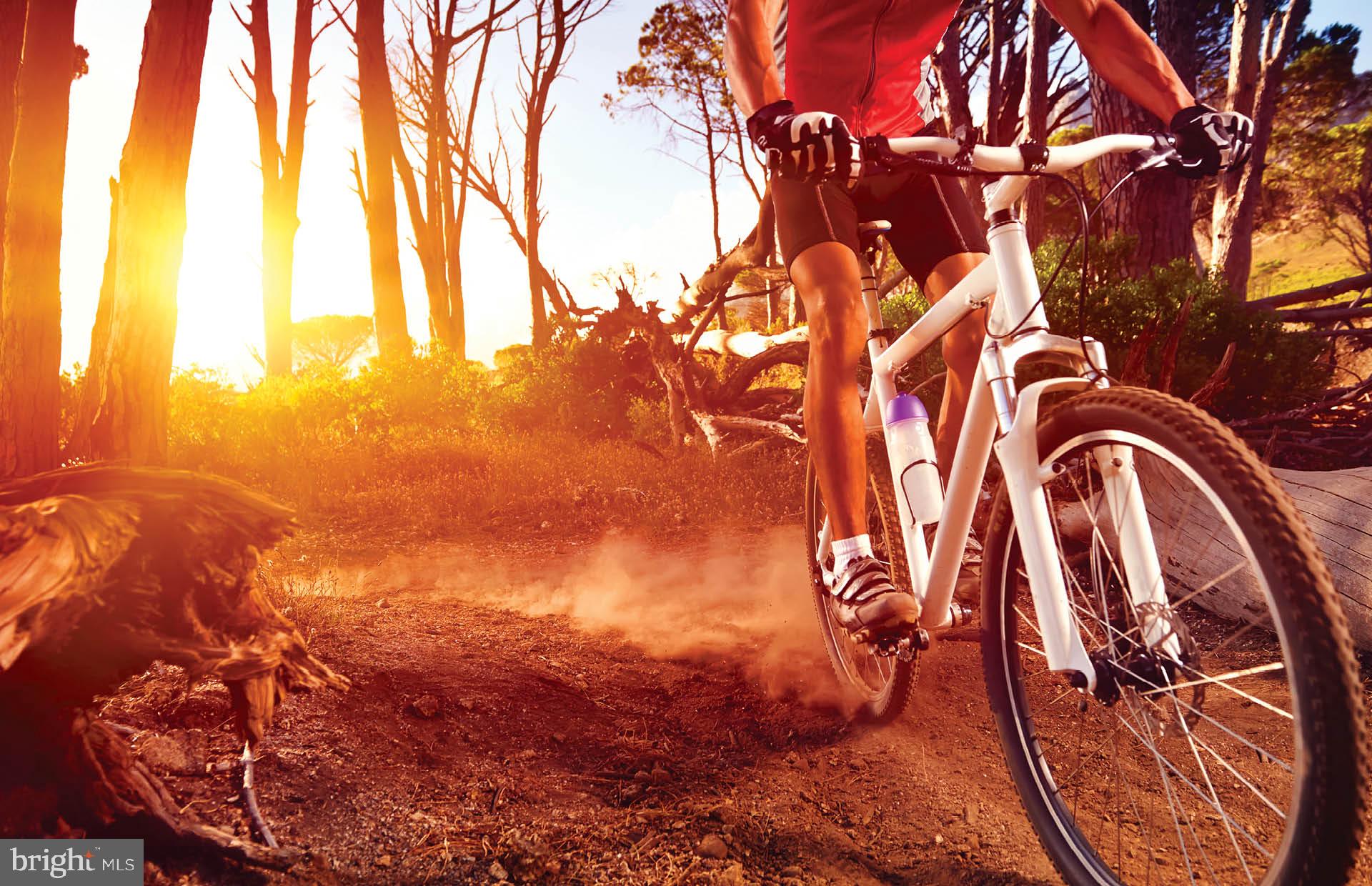 Real estate listing preview #23