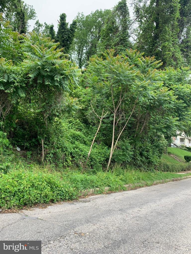 Real estate listing preview #1