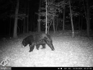 Real estate listing preview #145