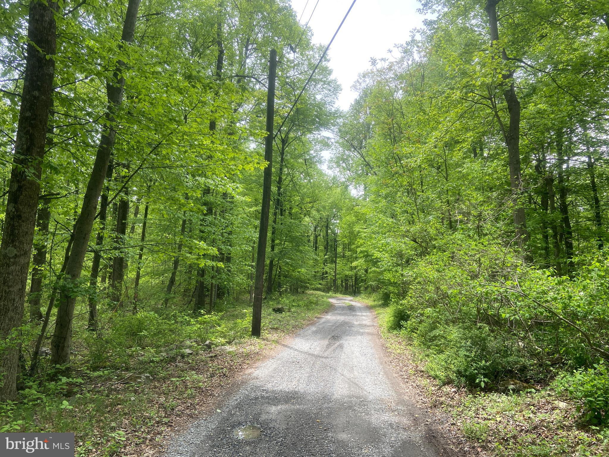 Real estate listing preview #44