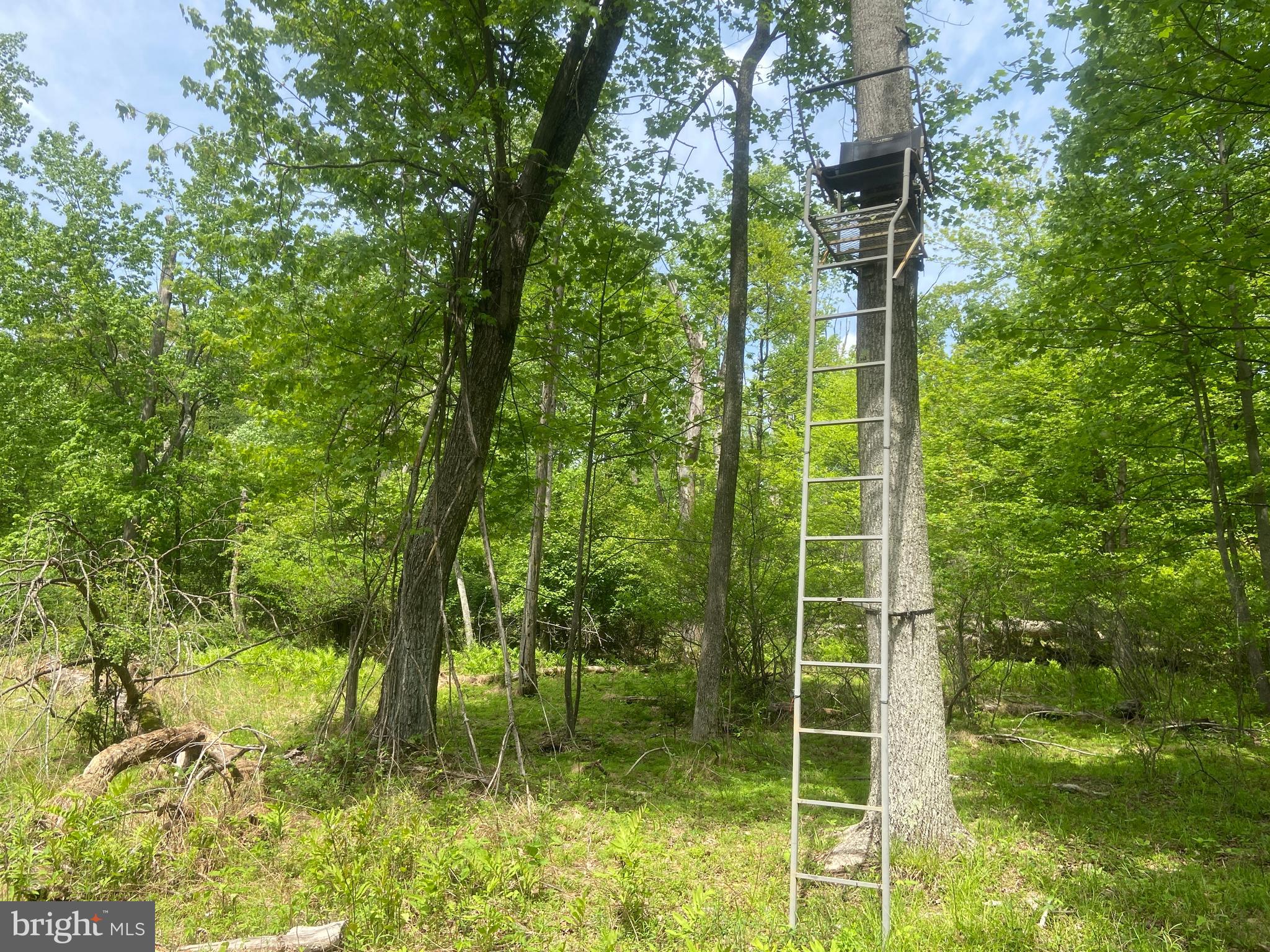 Real estate listing preview #108