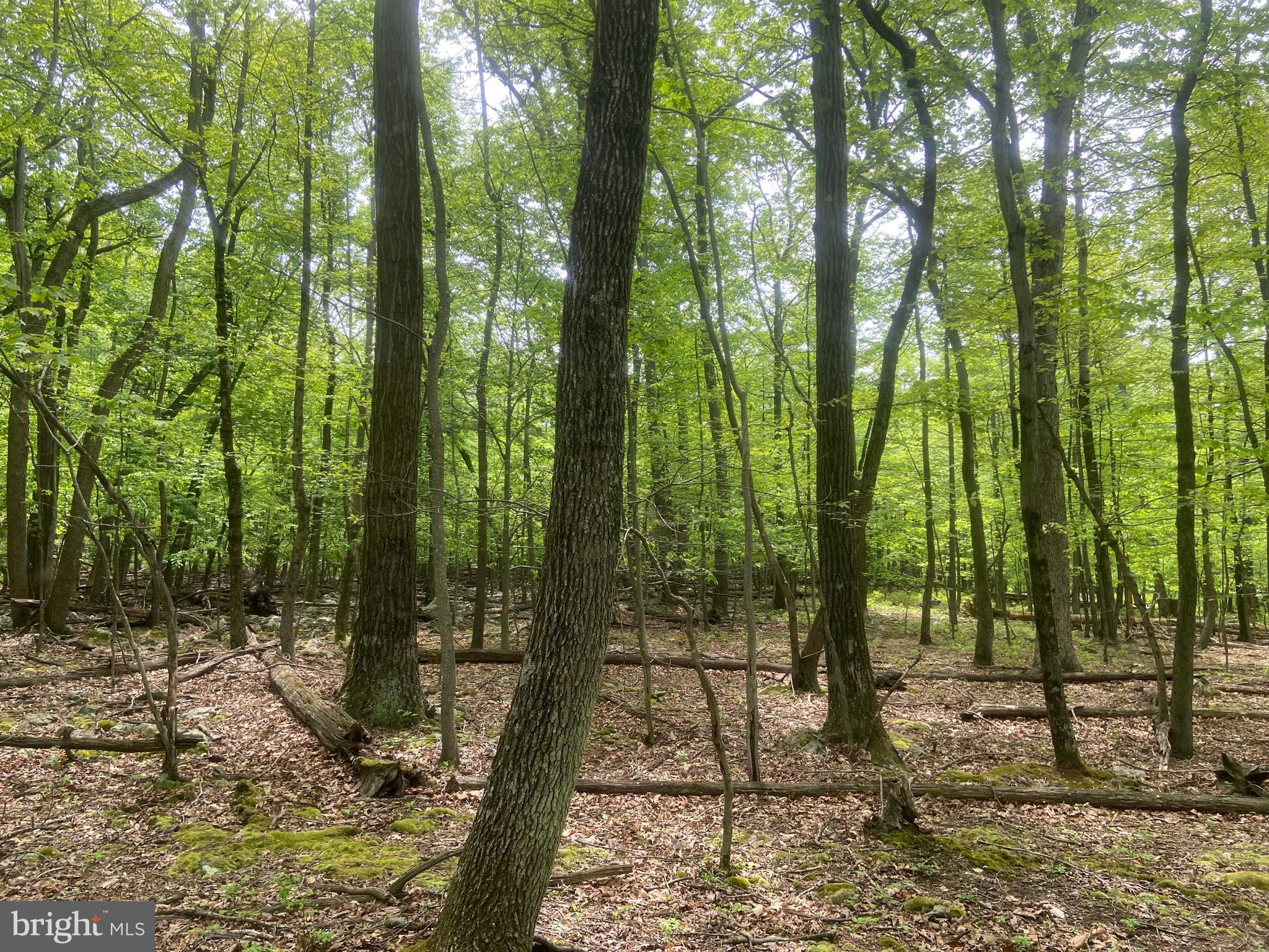 Real estate listing preview #111