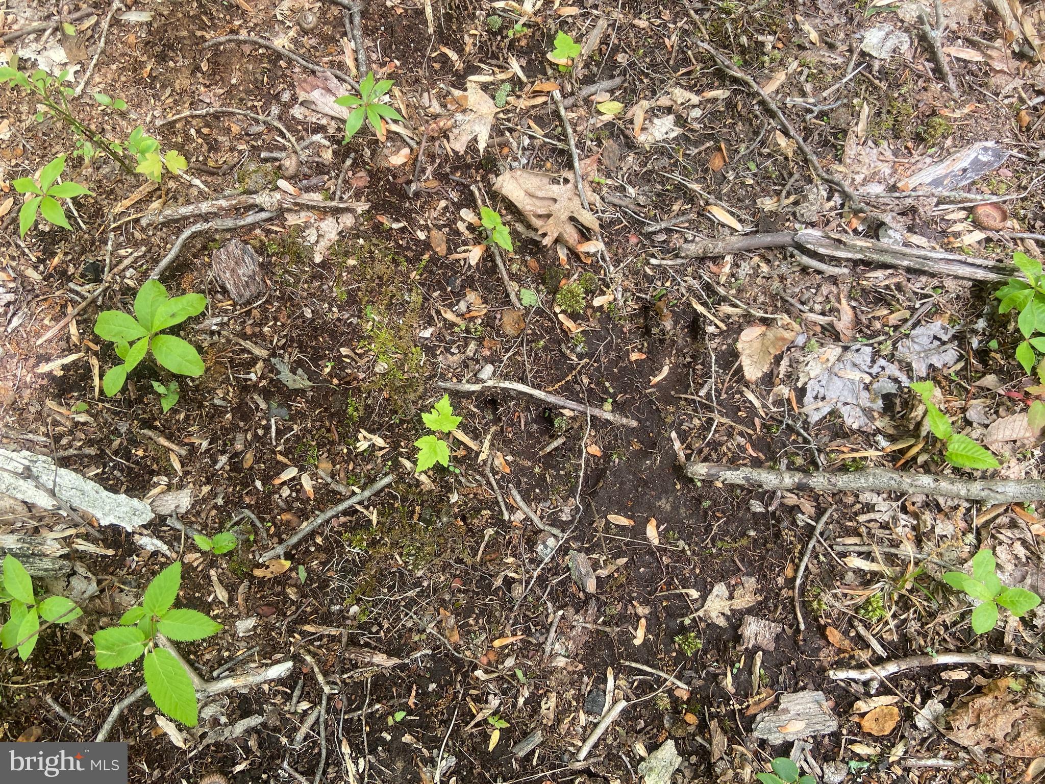 Real estate listing preview #112