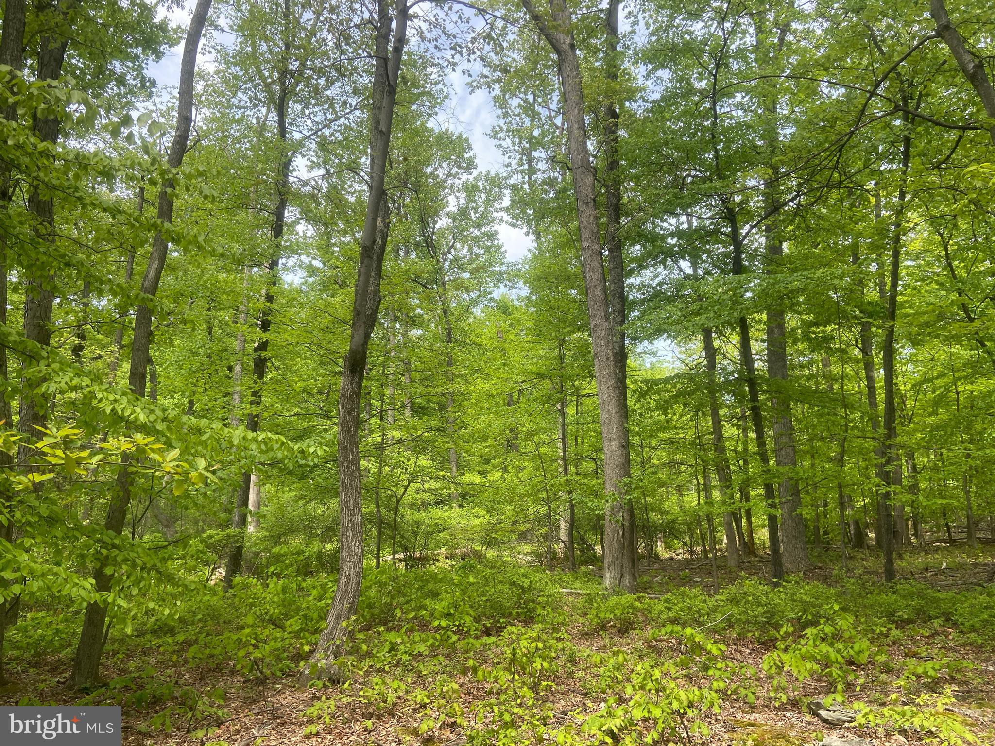 Real estate listing preview #114