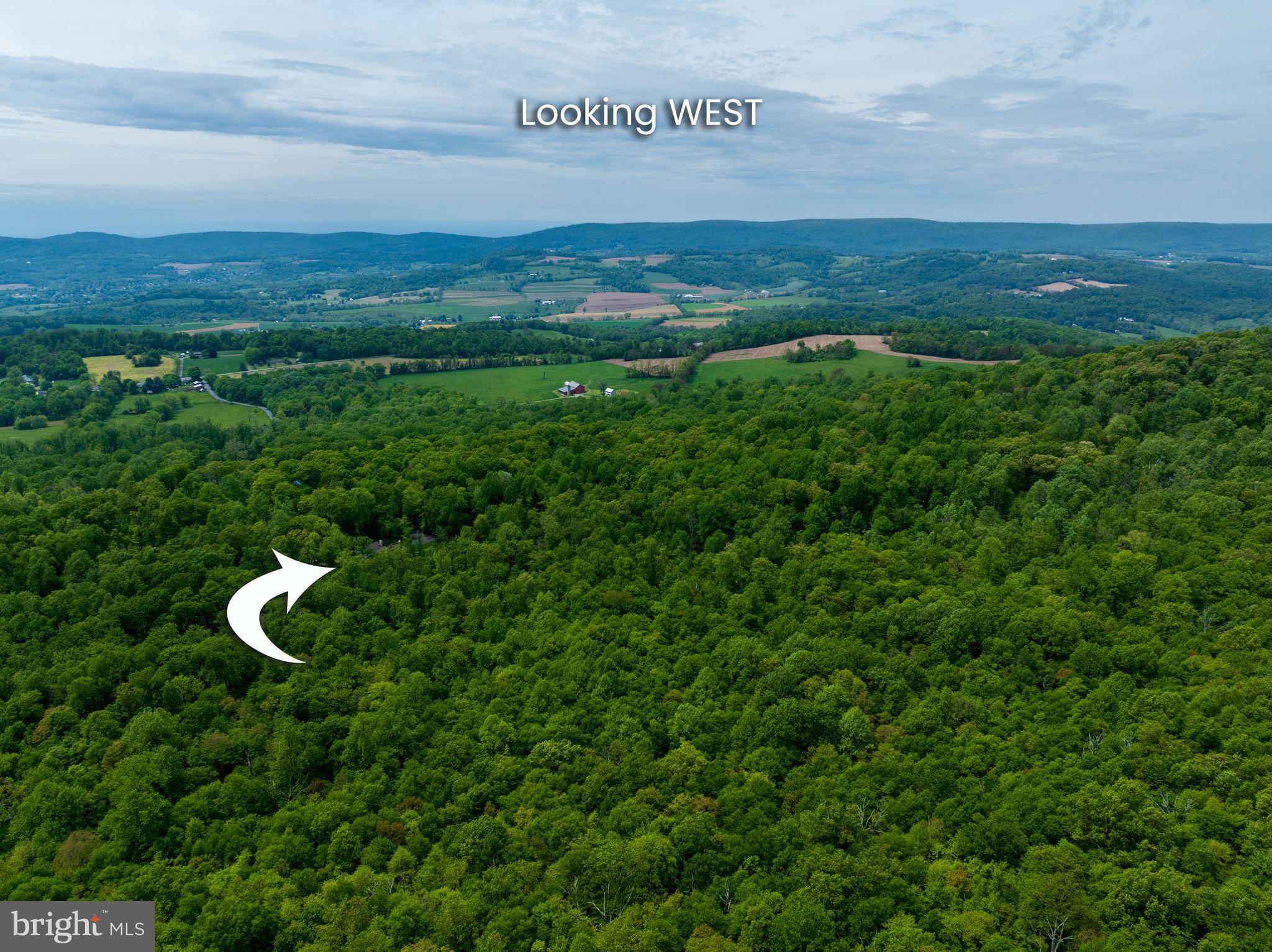 Real estate listing preview #7