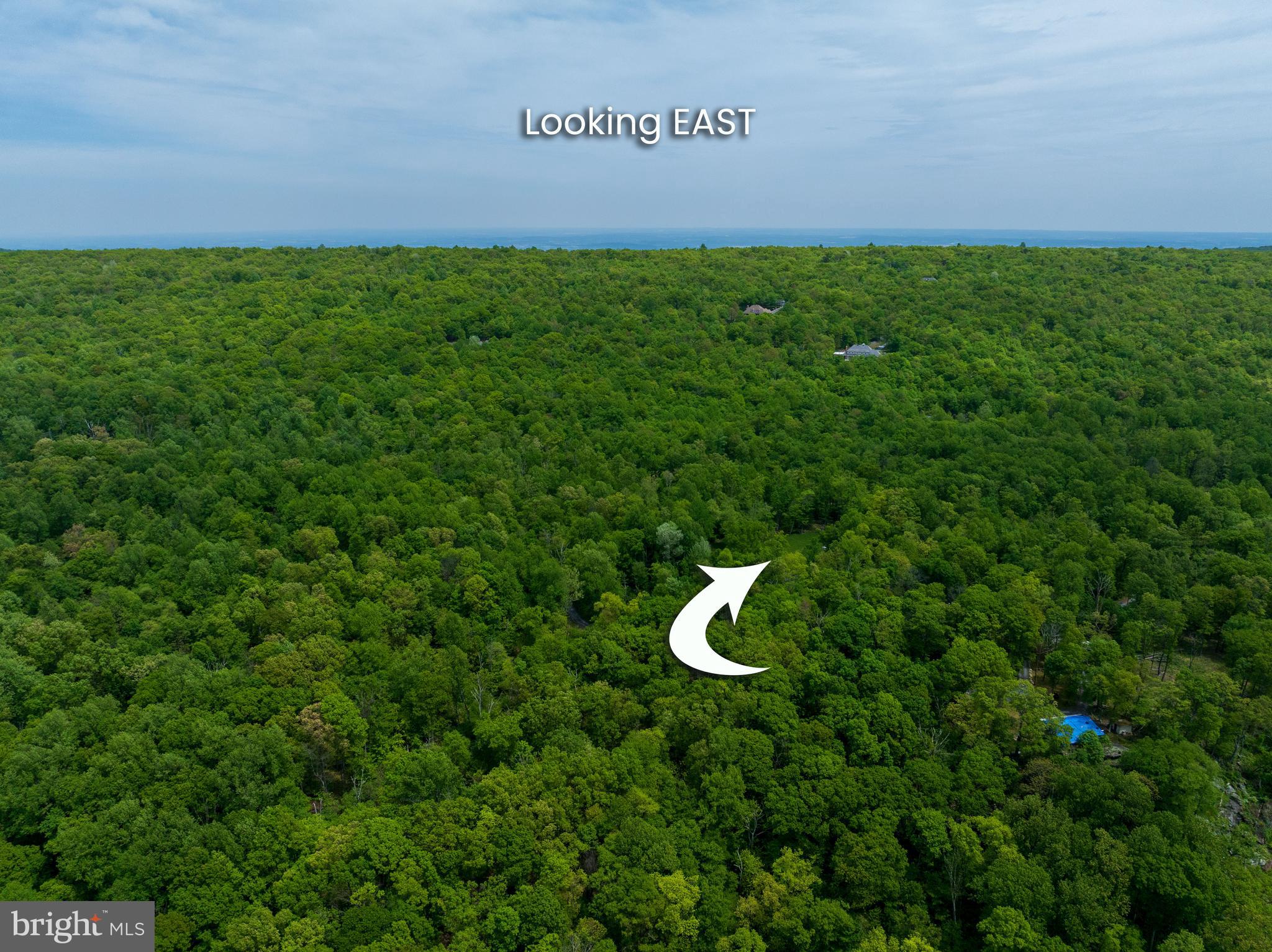 Real estate listing preview #9