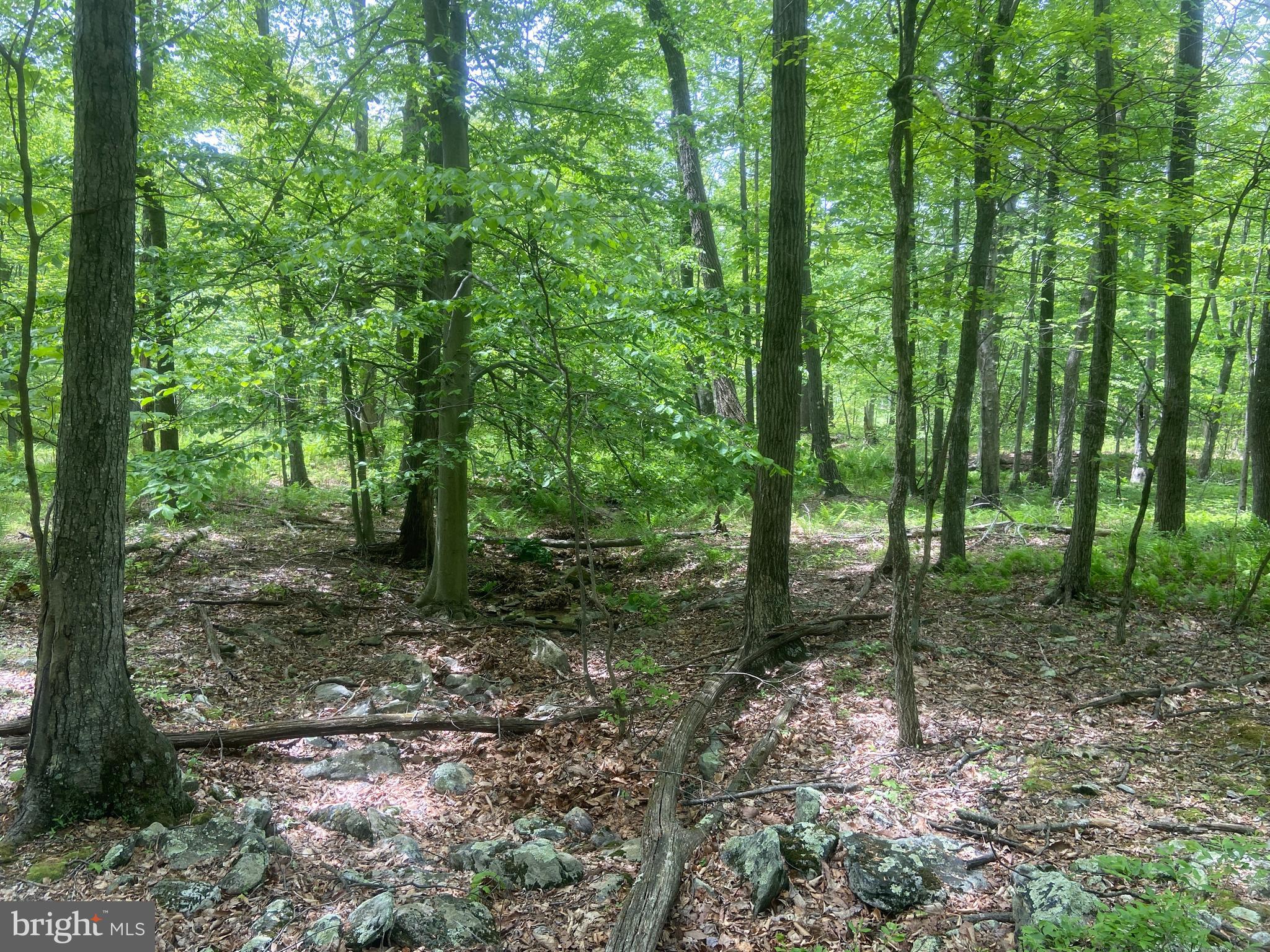 Real estate listing preview #117