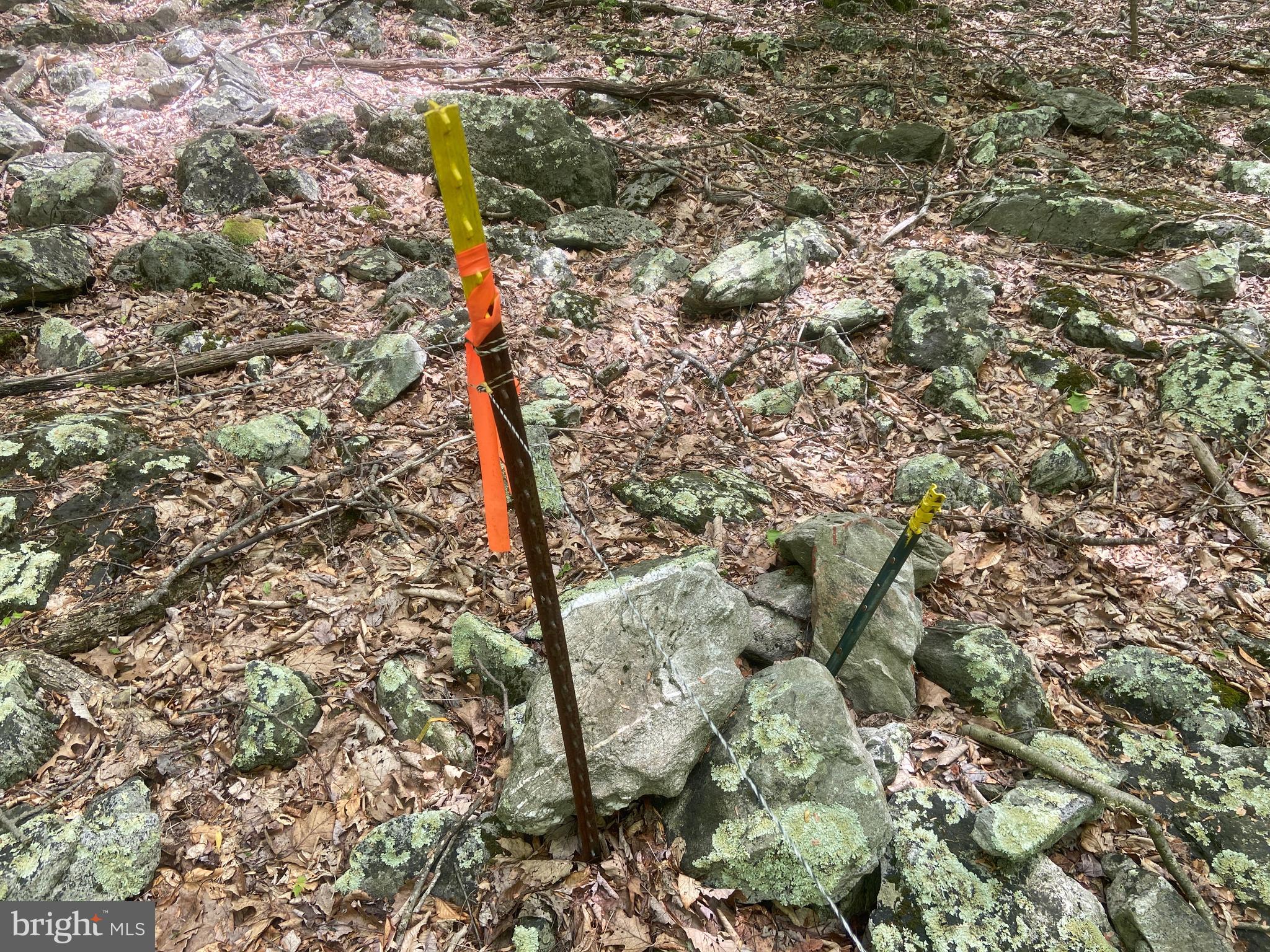 Real estate listing preview #120