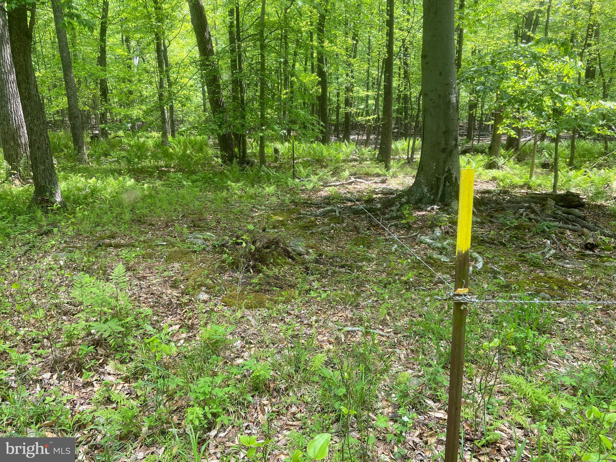 Real estate listing preview #122