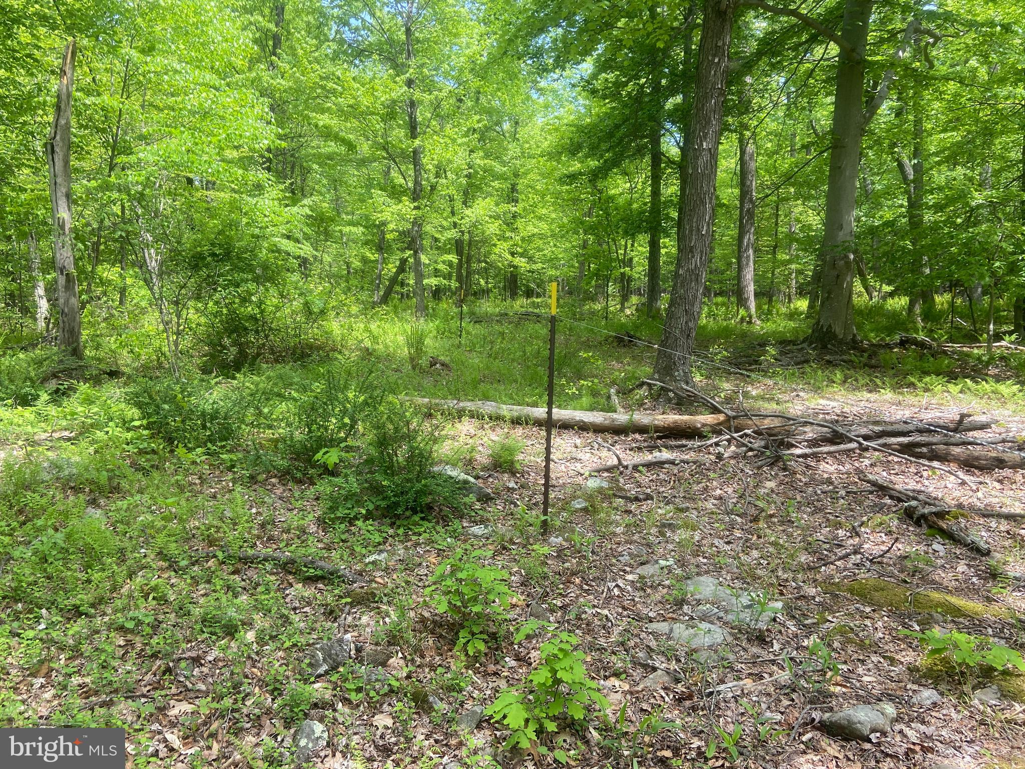 Real estate listing preview #124