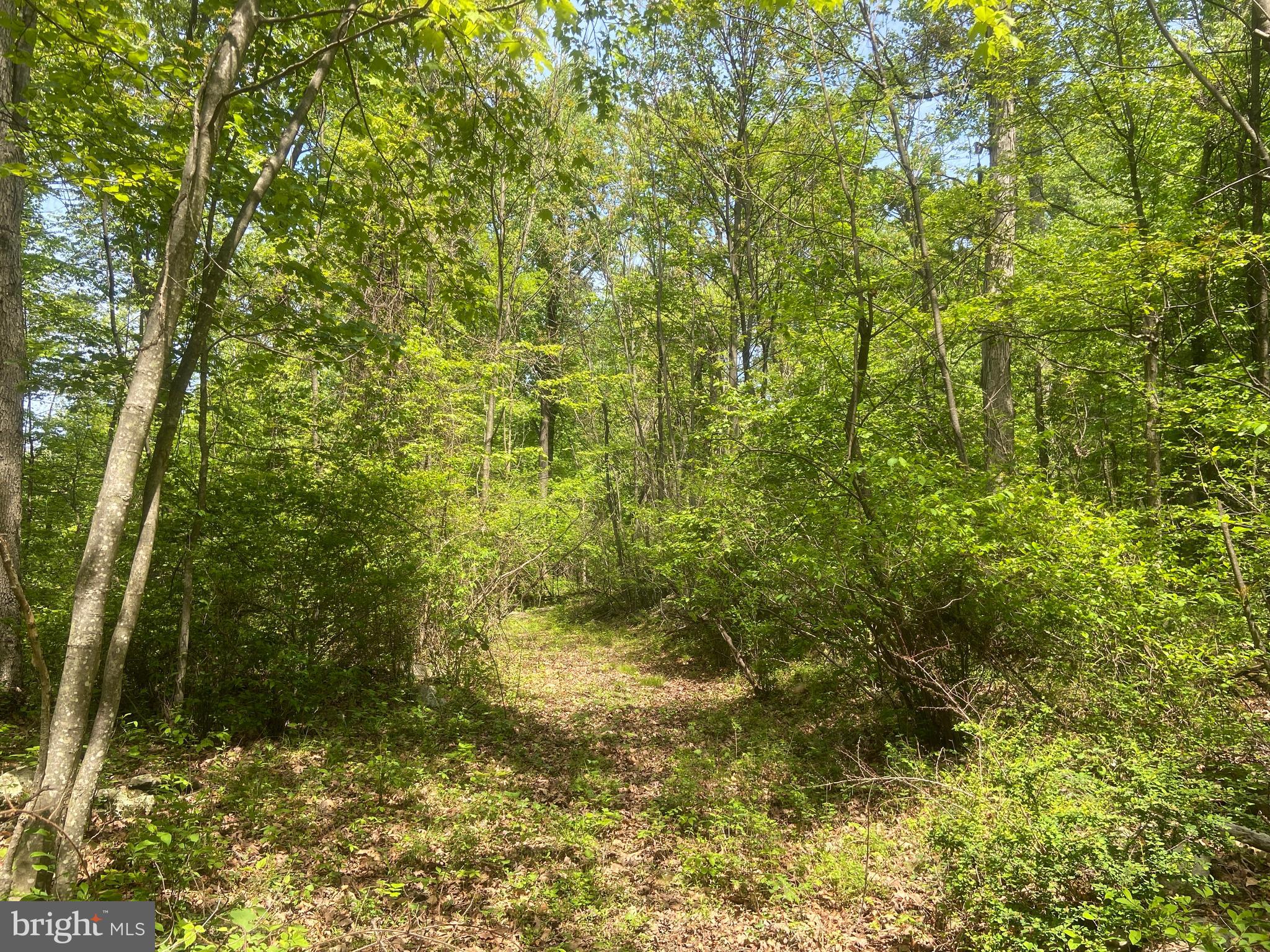 Real estate listing preview #127