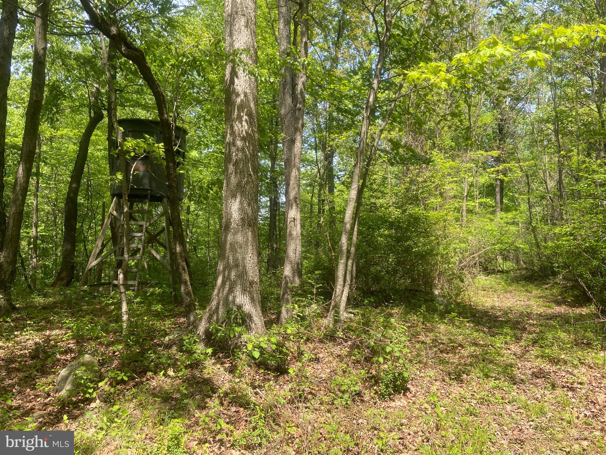 Real estate listing preview #135