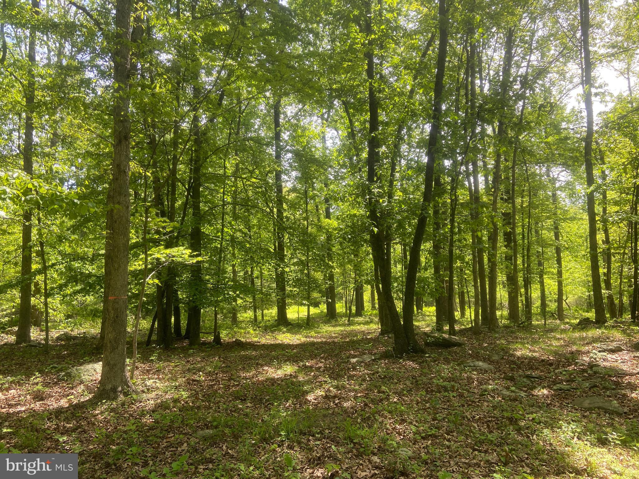 Real estate listing preview #139