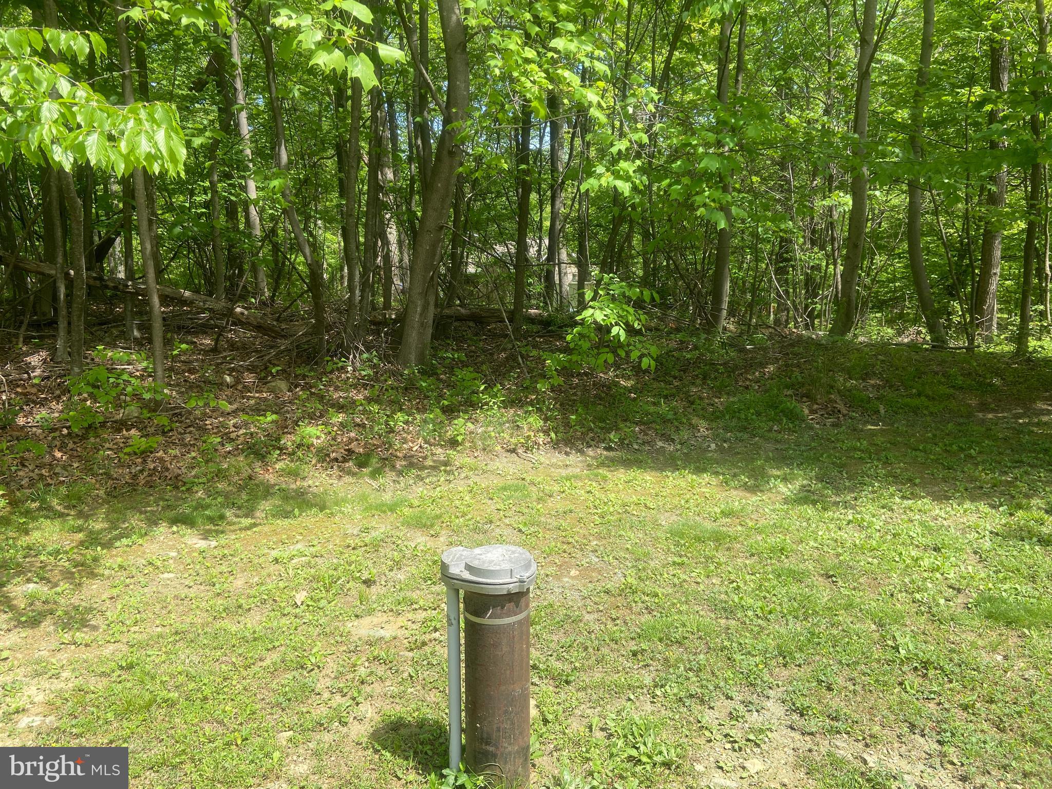 Real estate listing preview #43