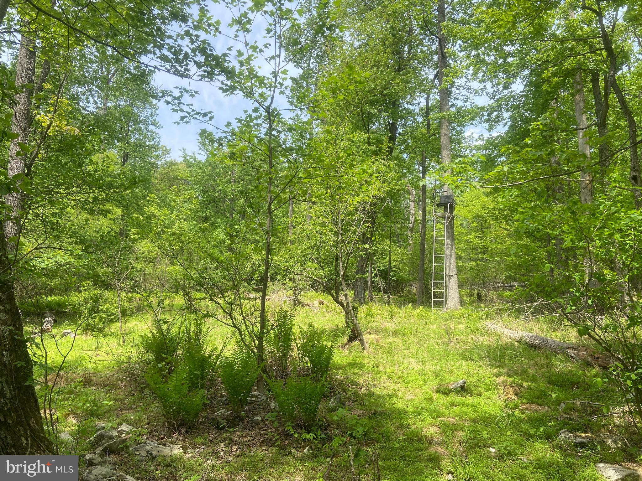 Real estate listing preview #109