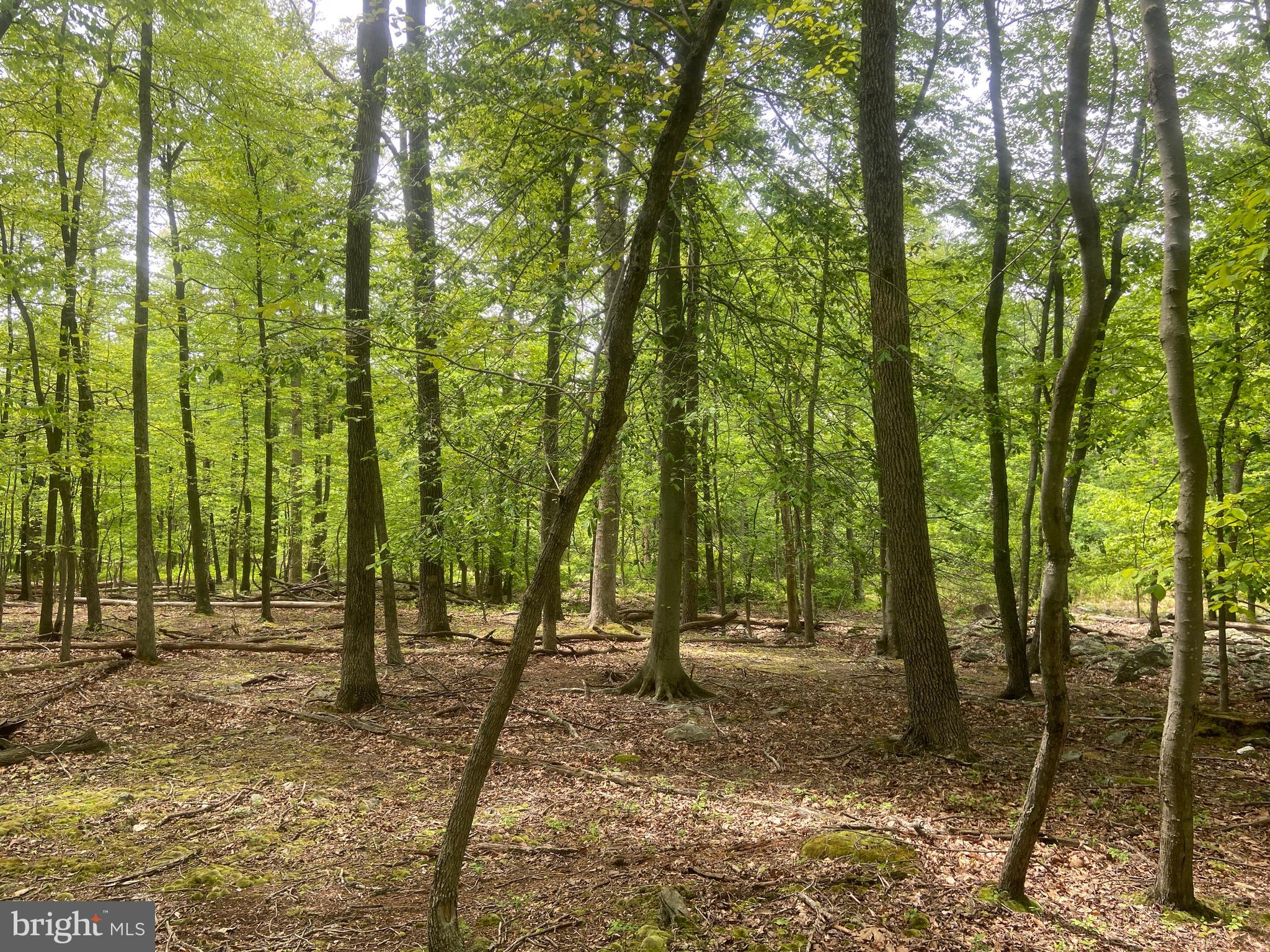 Real estate listing preview #110